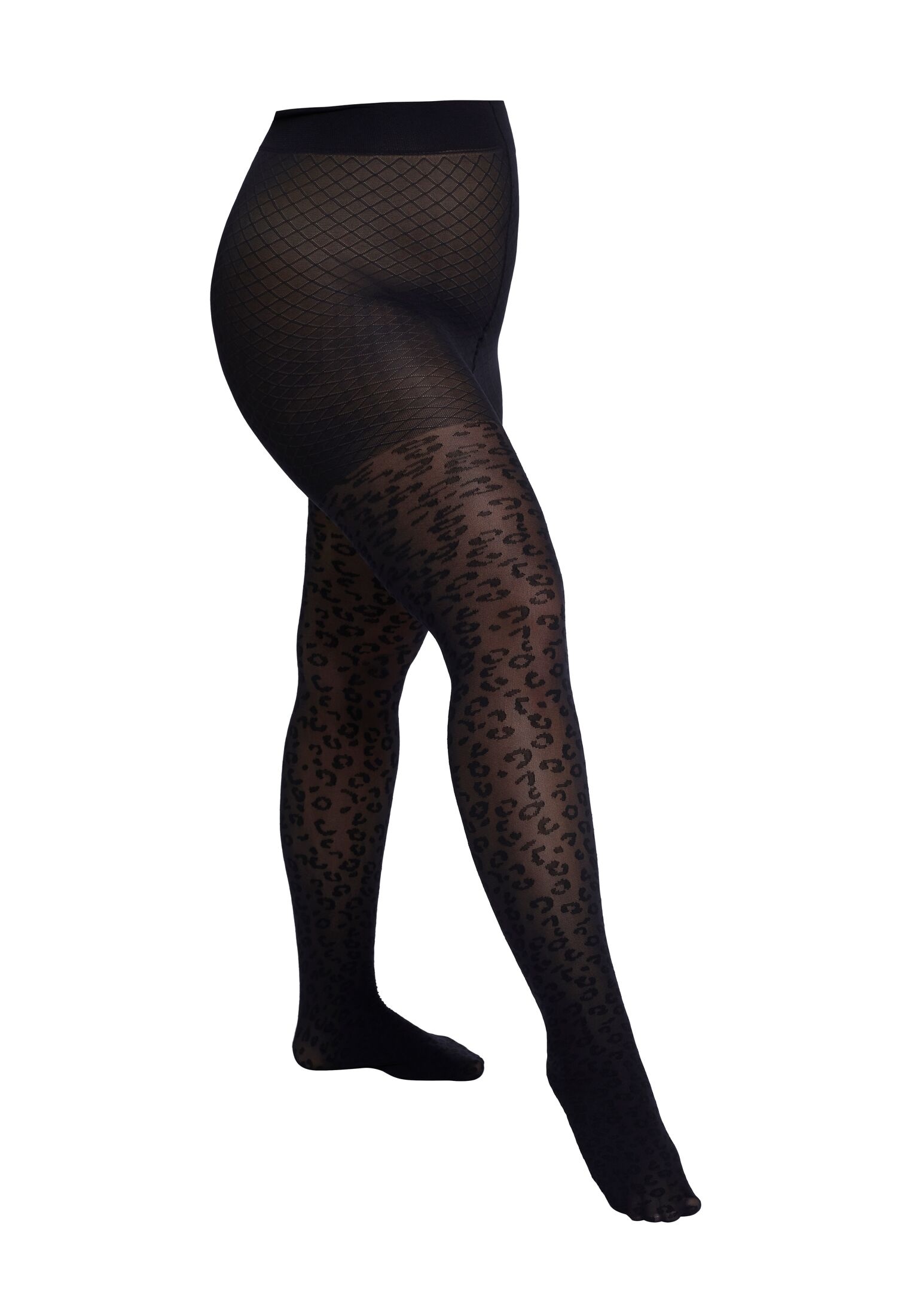 online Leo bestellen BAUR Camano Pack« | Curvy Feinstrumpfhose 1er »Strumpfhose