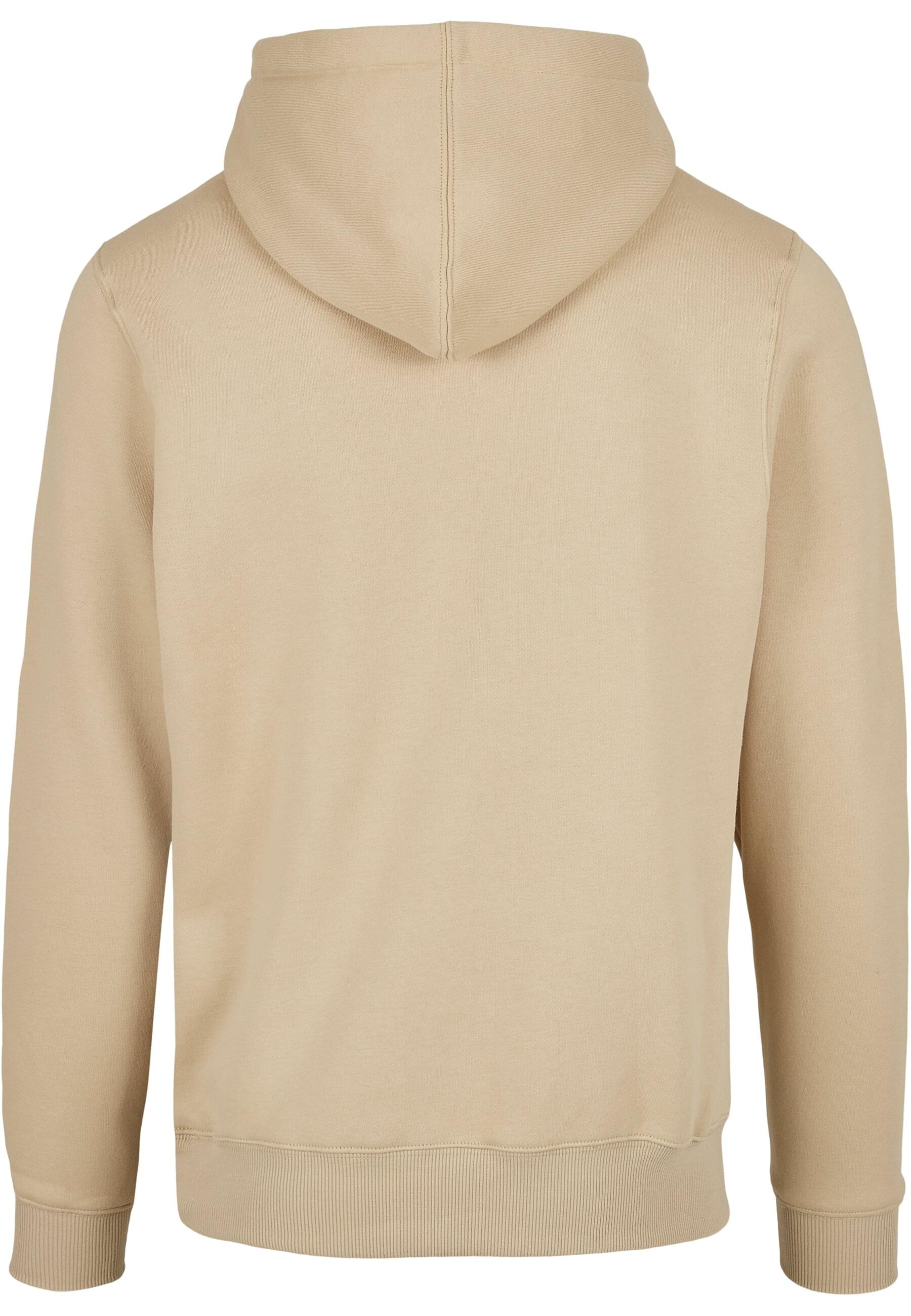 CAYLER & SONS Kapuzensweatshirt »Cayler & Sons Herren C&S Plain Hoody«, (1 tlg.)