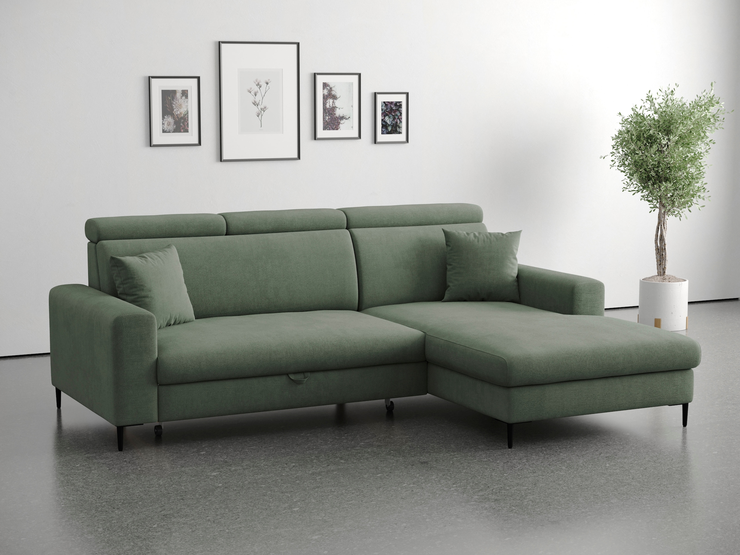 Trends by HG Ecksofa "Nizza, L-Form, B: 250cm" mit Schlaffunktion und Bettkasten