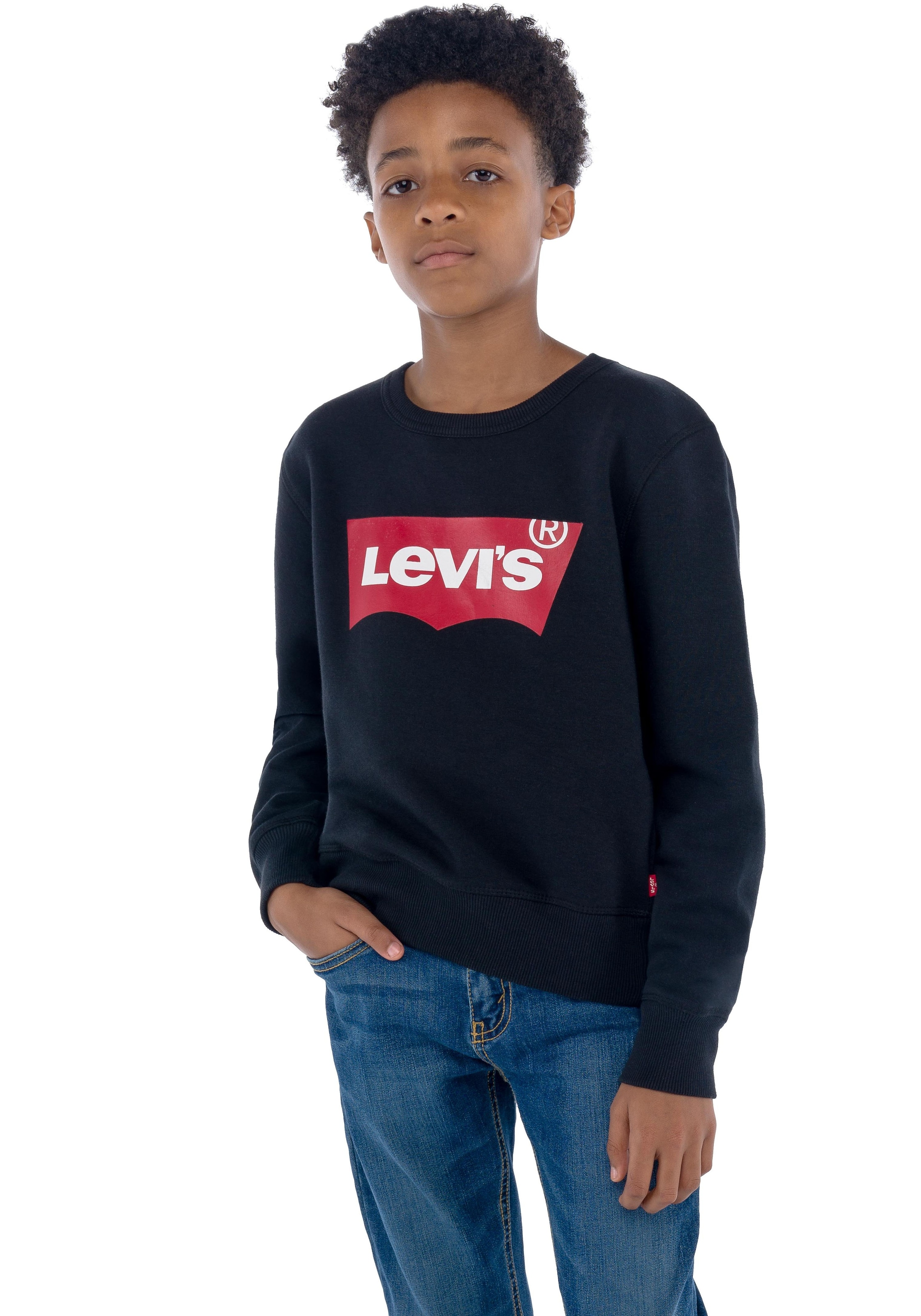 Levi's® Kids Sweatshirt »LVB LVB FRENCH TERRY BATWING«, mit großem Logo