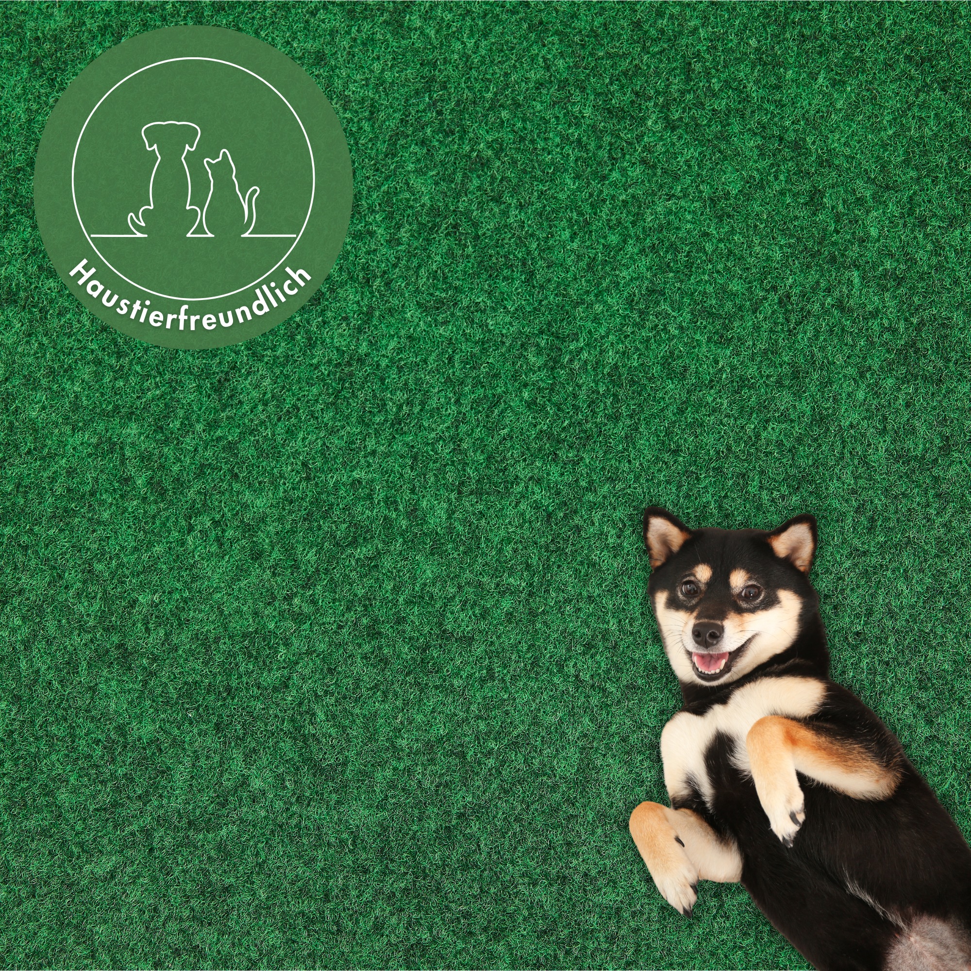 my home Kunstrasen "Fidschi, Gesamthöhe 4 mm, Made in Netherlands" rechteck günstig online kaufen