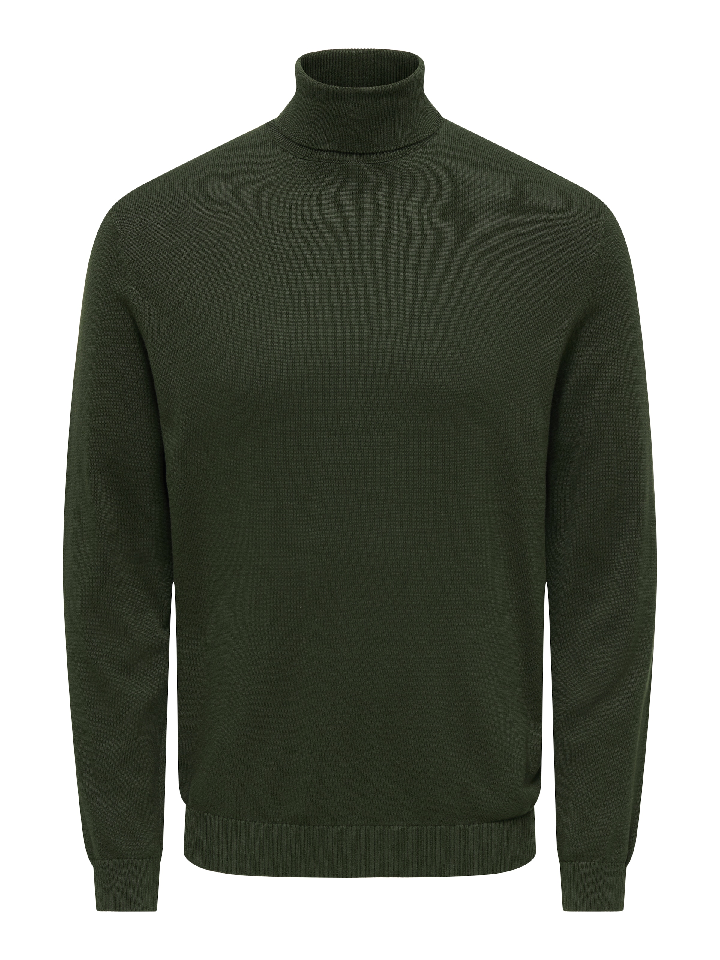 ONLY & SONS Rollkragenpullover "ONSHOLGER REG ROLL NECK KNIT - OTL" günstig online kaufen