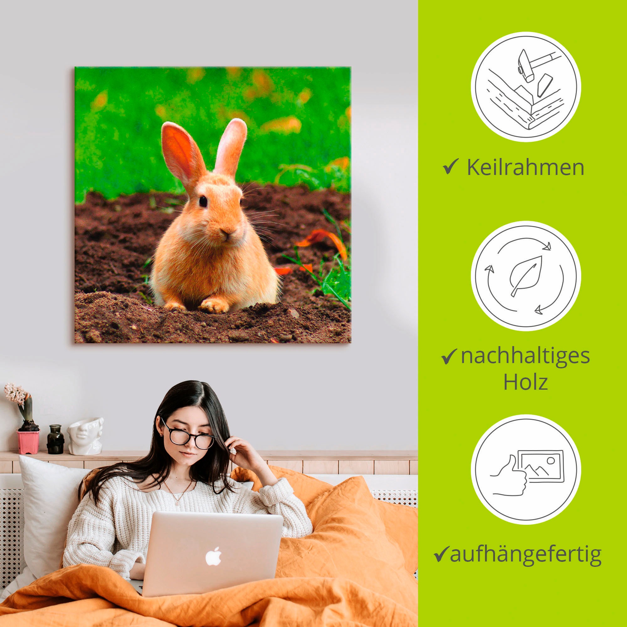 Artland Wandbild »Glückliches Zwergkaninchen«, Wildtiere, (1 St.), als Leinwandbild, Wandaufkleber in verschied. Größen