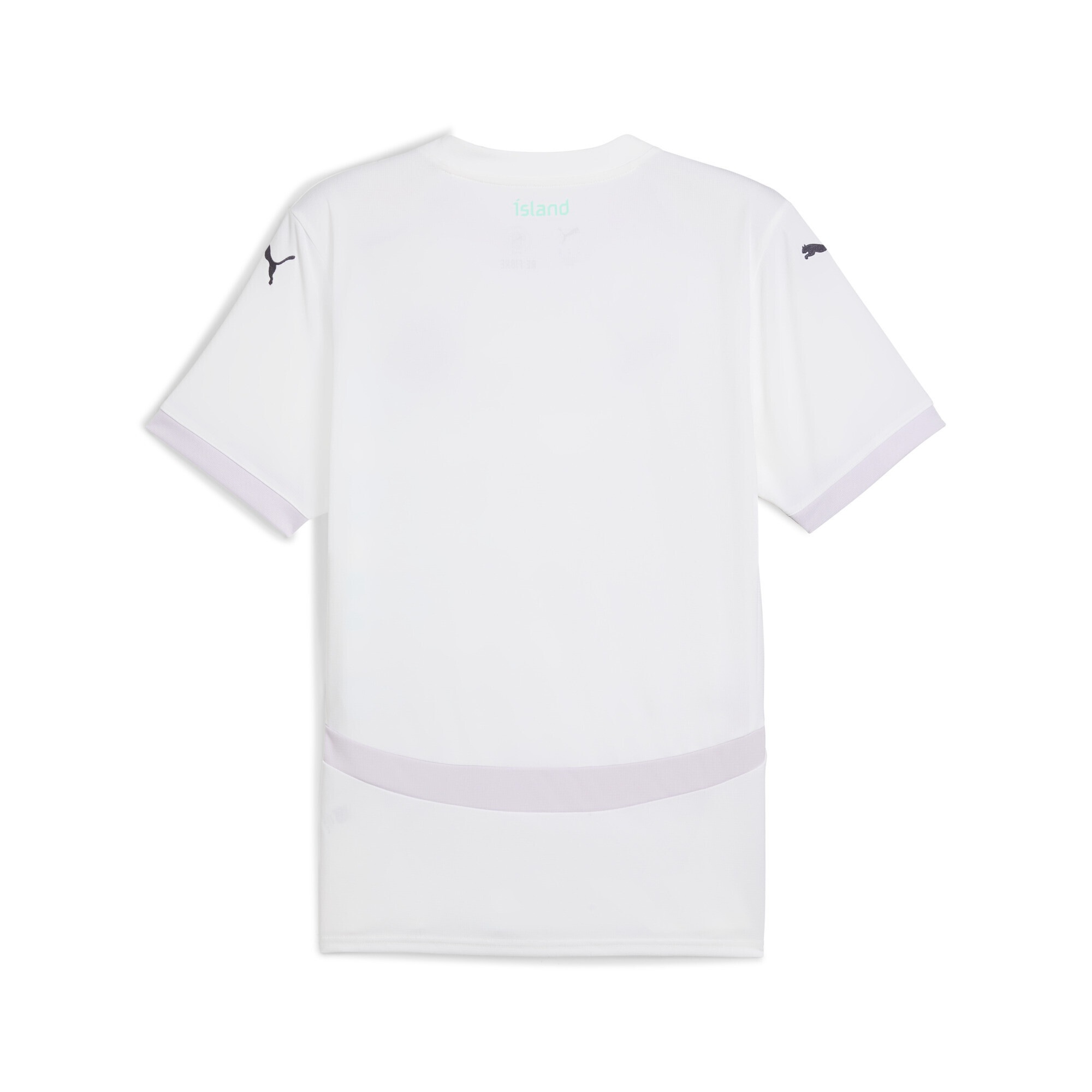 PUMA Trainingsshirt »Island Team 2025 Auswärtstrikot Herren«