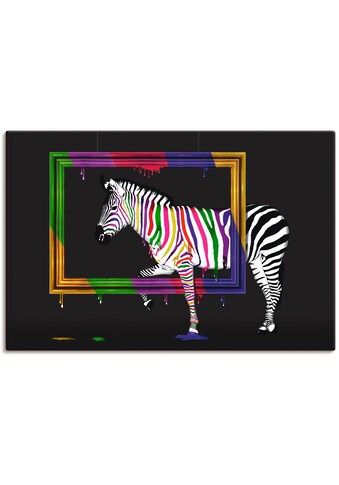 Artland Paveikslas »Das Regenbogen Zebra« Anim...