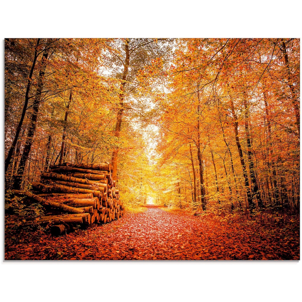 Artland Glasbild »Herbstlandschaft«, Vier Jahreszeiten, (1 St.)