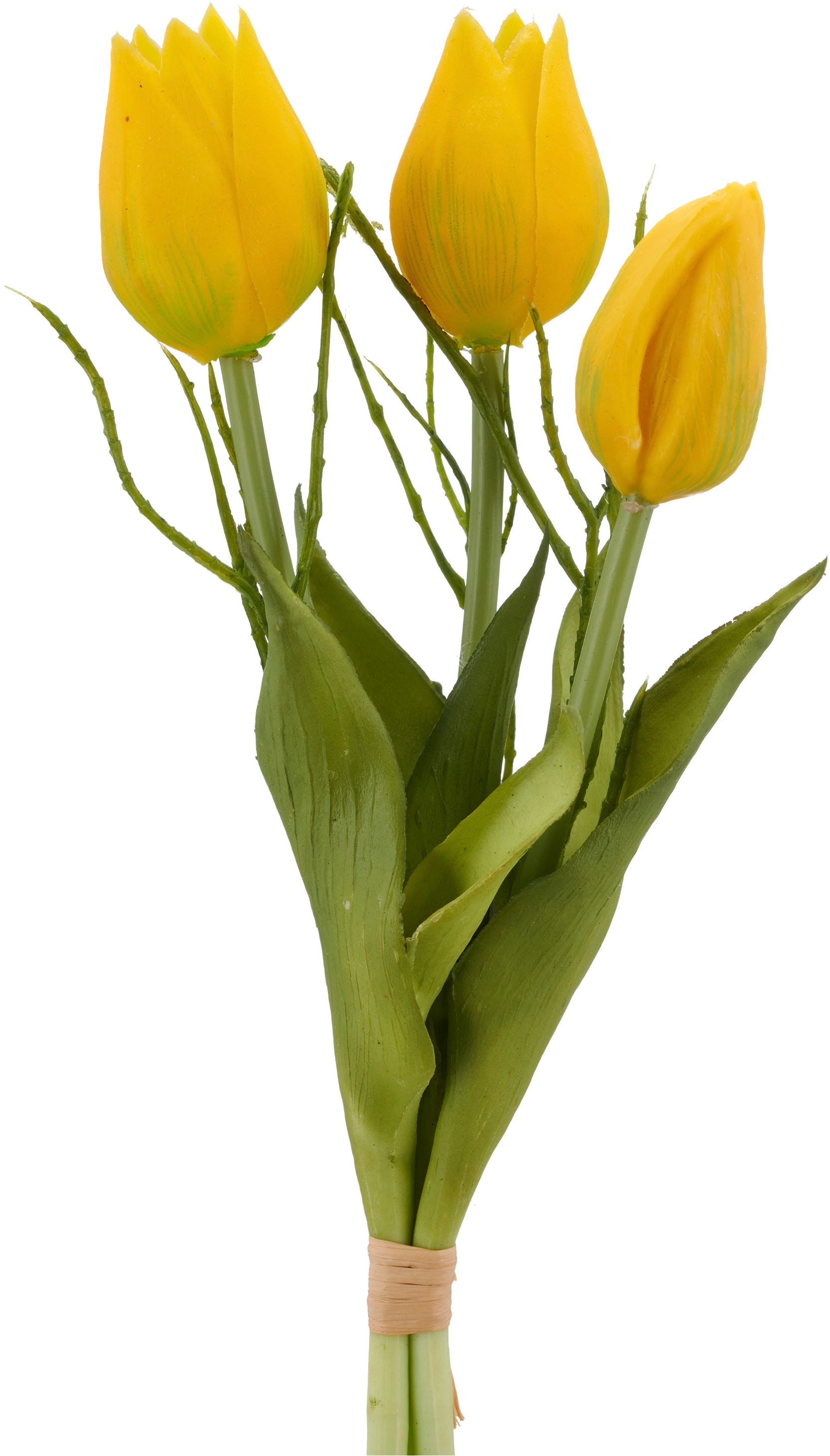 Creativ green Kunsttulpe »Tulpenbund« mit Zweigen