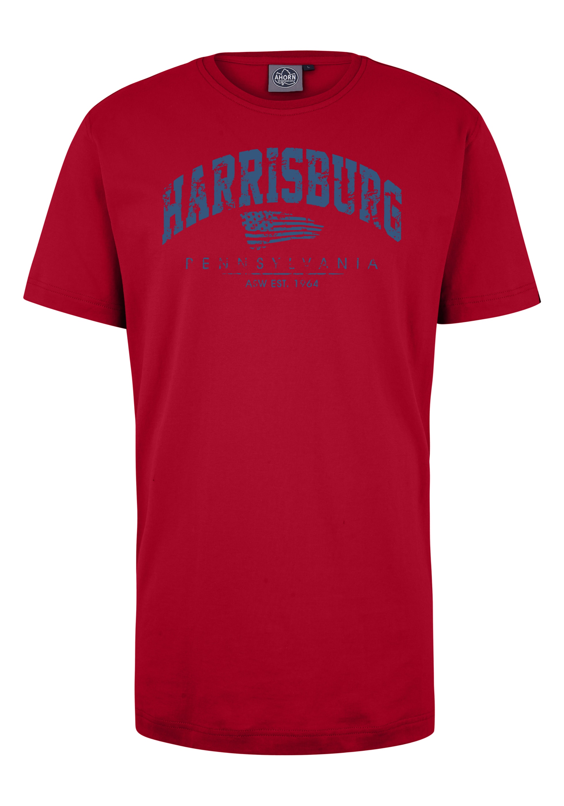 AHORN SPORTSWEAR T-Shirt »HARRISBURG_ATLANTIC BLUE«, mit modischem  Frontprint ▷ bestellen | BAUR