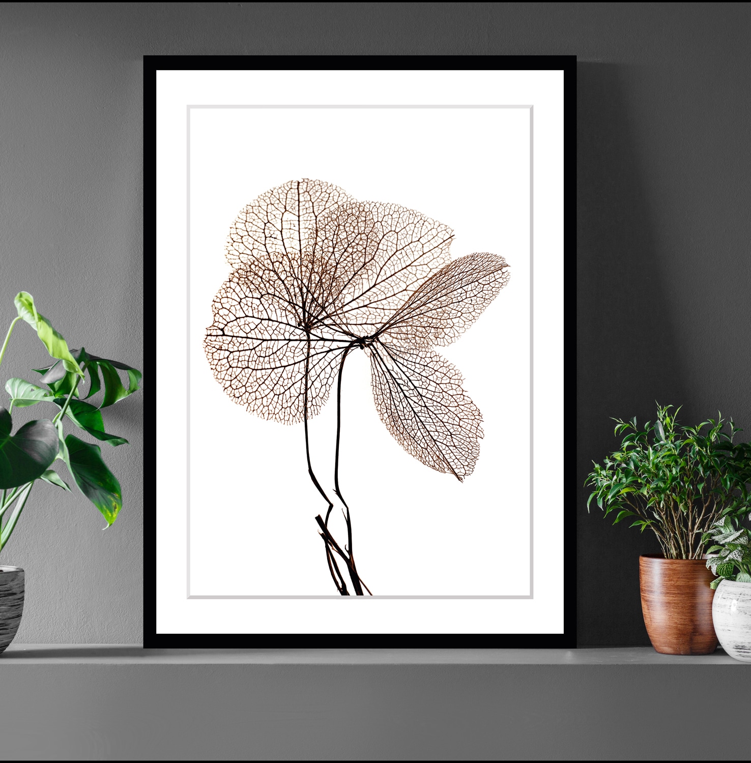 queence Bild "Annabell" Blumen Pflanzen Pflanzenbilder Blumen, gerahmt