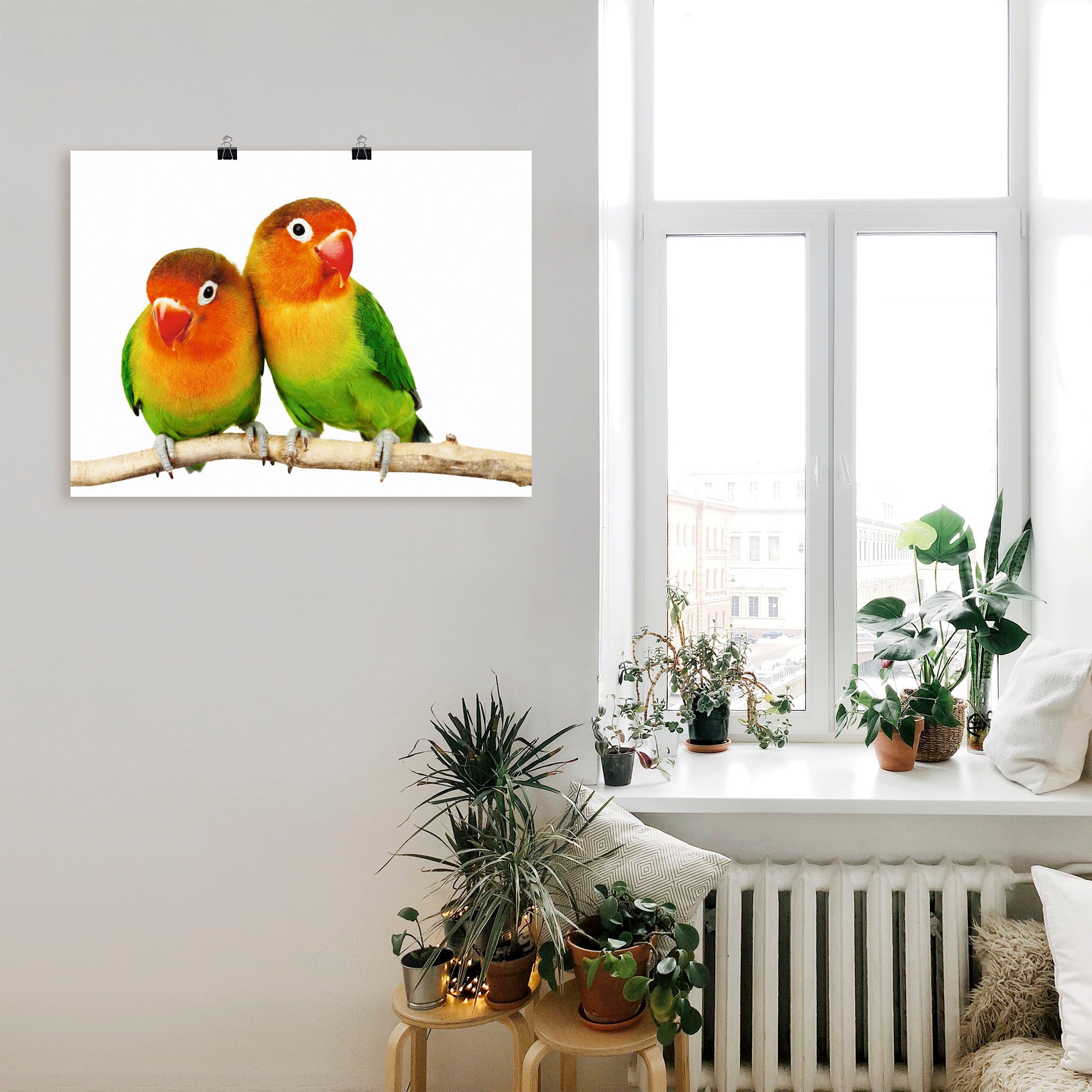 Artland Wandbild »Paar von Grauköpfchen - Papageien«, Vögel, (1 St.), als Leinwandbild, Poster, Wandaufkleber in verschied. Größen