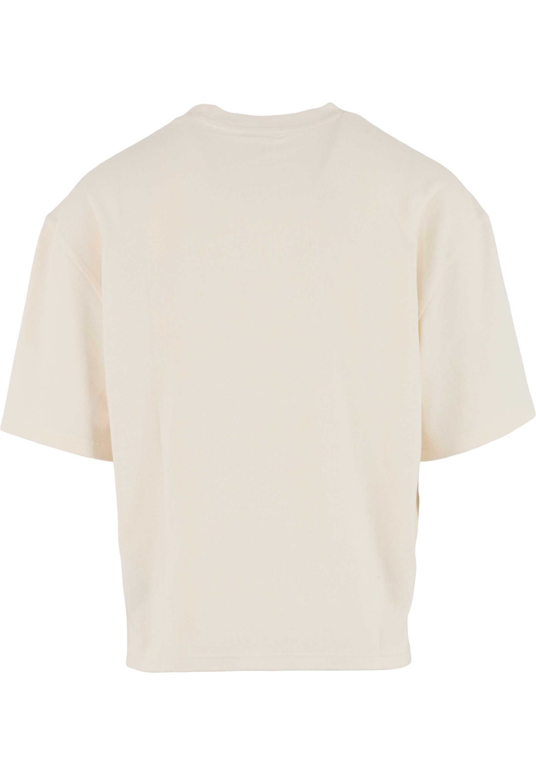 Karl Kani T-Shirt »Karl Kani Sport Gradient Boxy T-Shirt« 1
