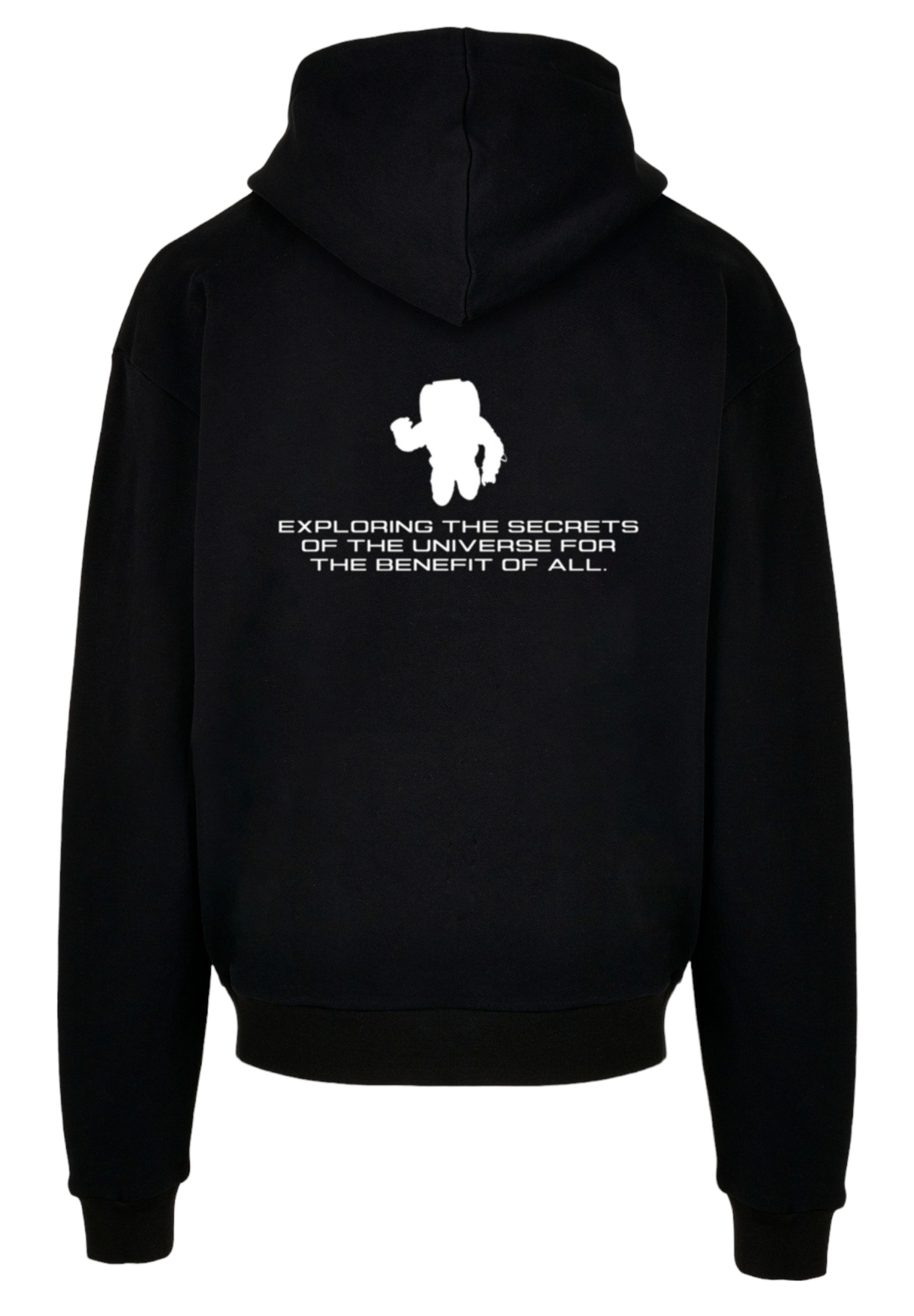 F4NT4STIC Kapuzenpullover »NASA worm«, Print