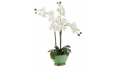 I.GE.A. Kunstpflanze »Orchidee«, (1 St.) kaufen