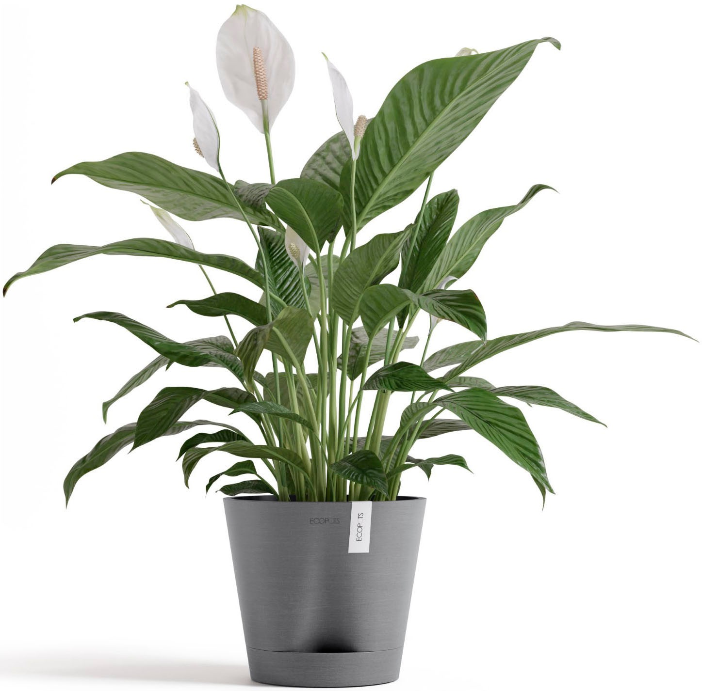ECOPOTS Blumentopf »Venice 2 20 Grau« für den Innenbereich