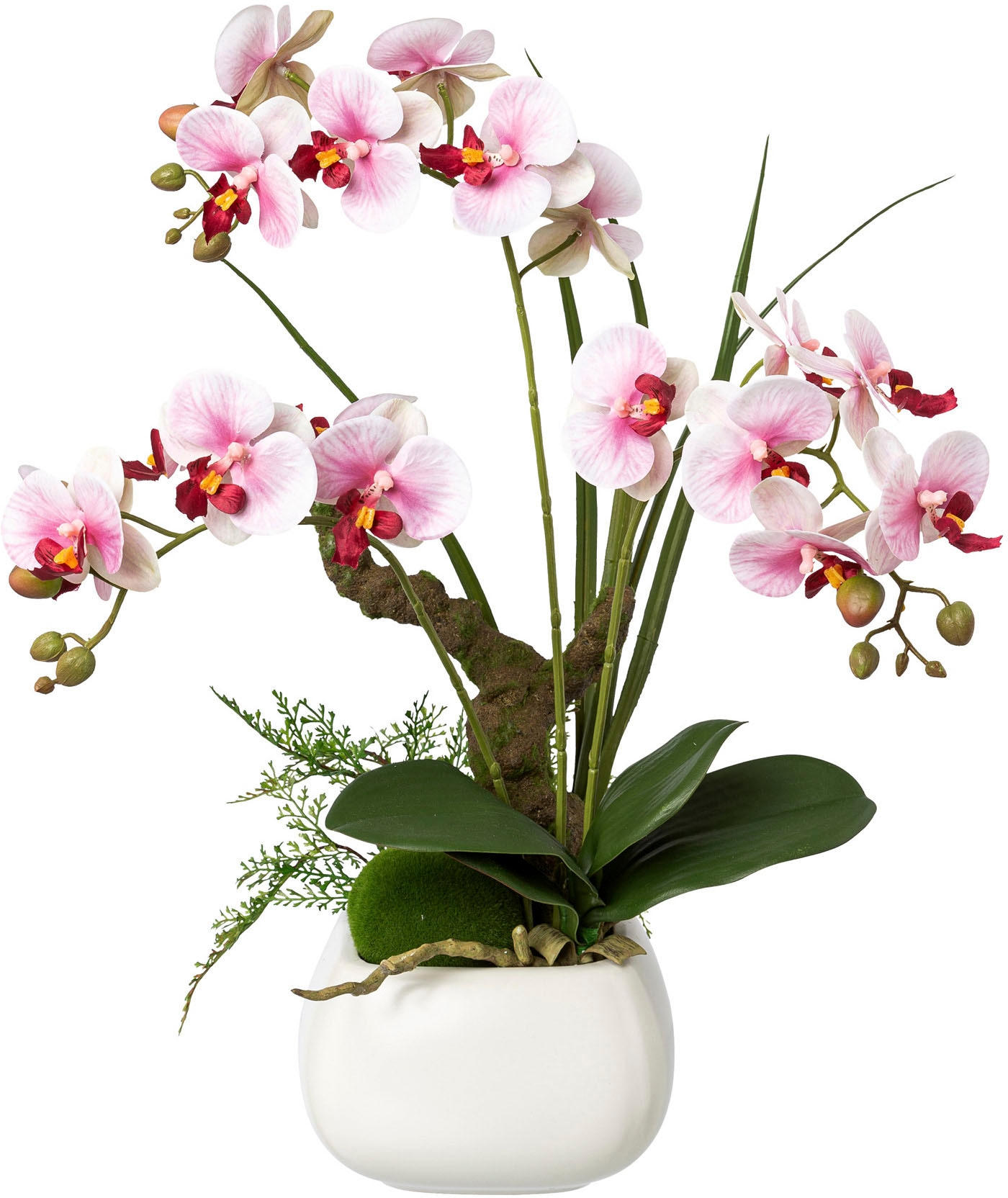 Creativ green Kunstorchidee "Deko-Orchidee Phalaenopsis im Keramiktopf" günstig online kaufen