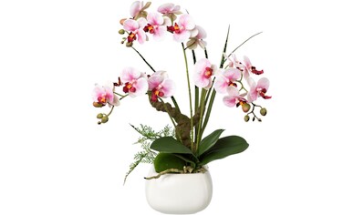 Kunstorchidee »Deko-Orchidee Phalaenopsis im Keramiktopf«