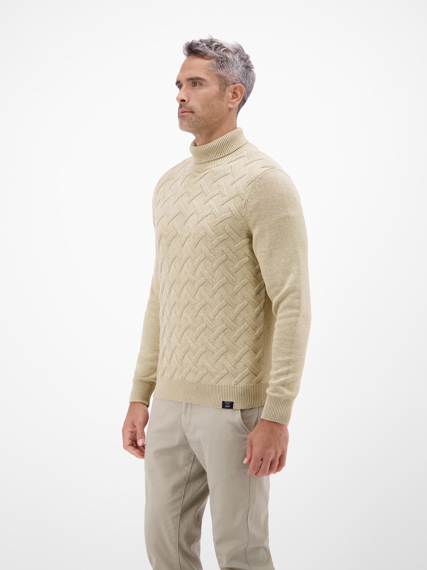 LERROS Rollkragenpullover »Stylischer Rollkragenpullover - modisch gemustert«