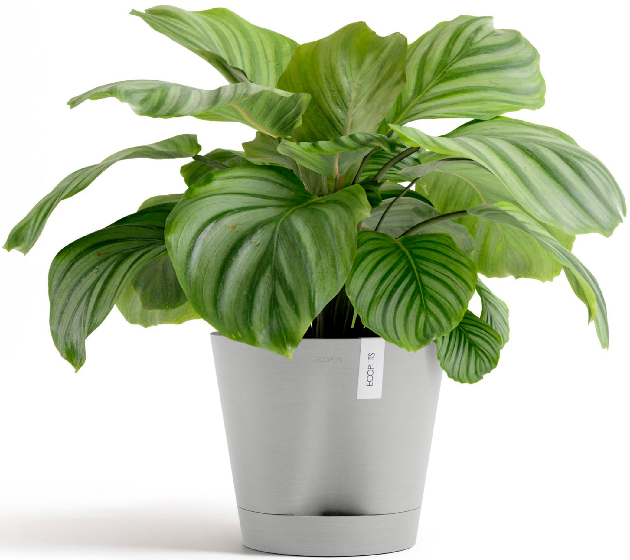 ECOPOTS Blumentopf »Venice 2 30 Weißgrau«, für den Innenbereich