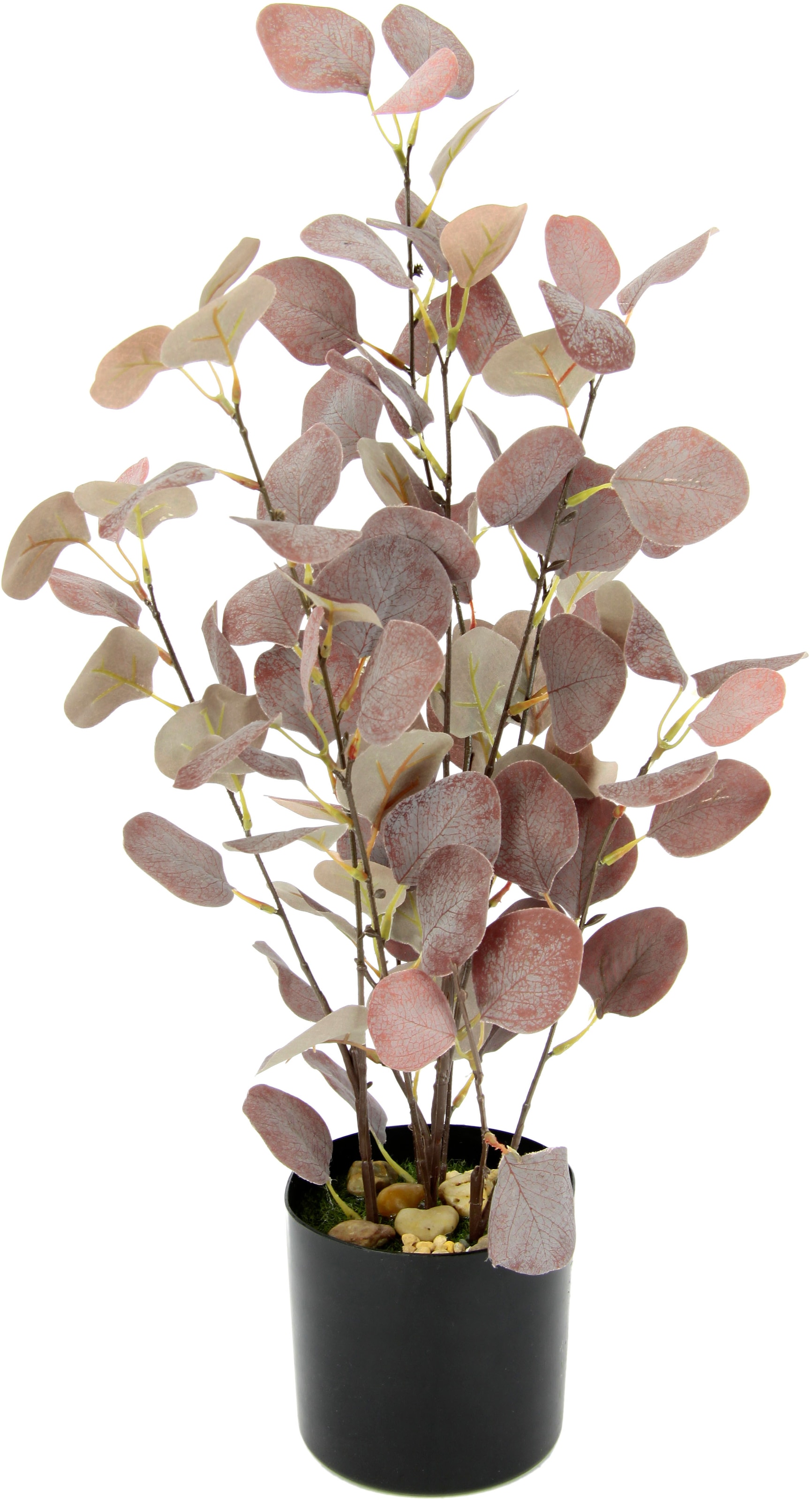 Kunstpflanze »Eukalyptus«, Im Topf, mit Natursteinchen