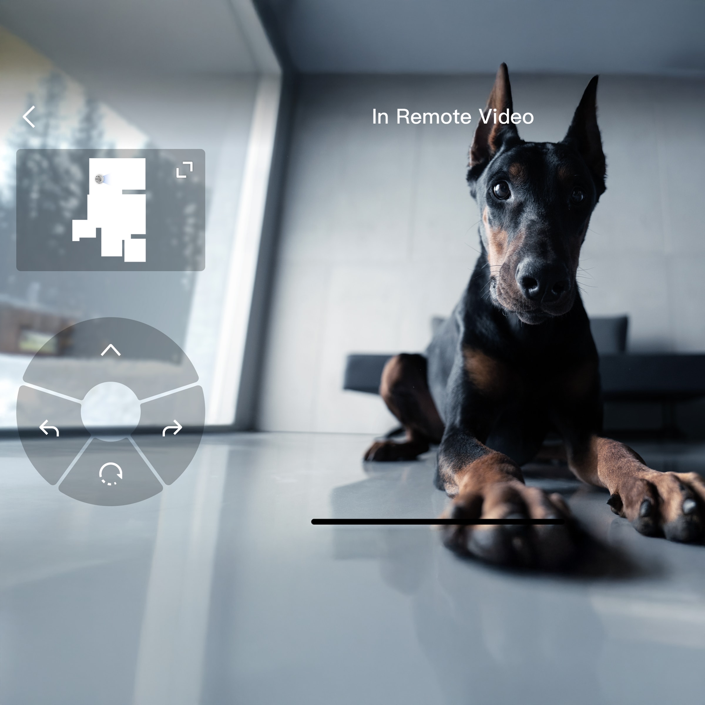DJI Saugroboter »DJI ROMO P« Transparenter Saugroboter mit Absaugstation und App-Steuerung