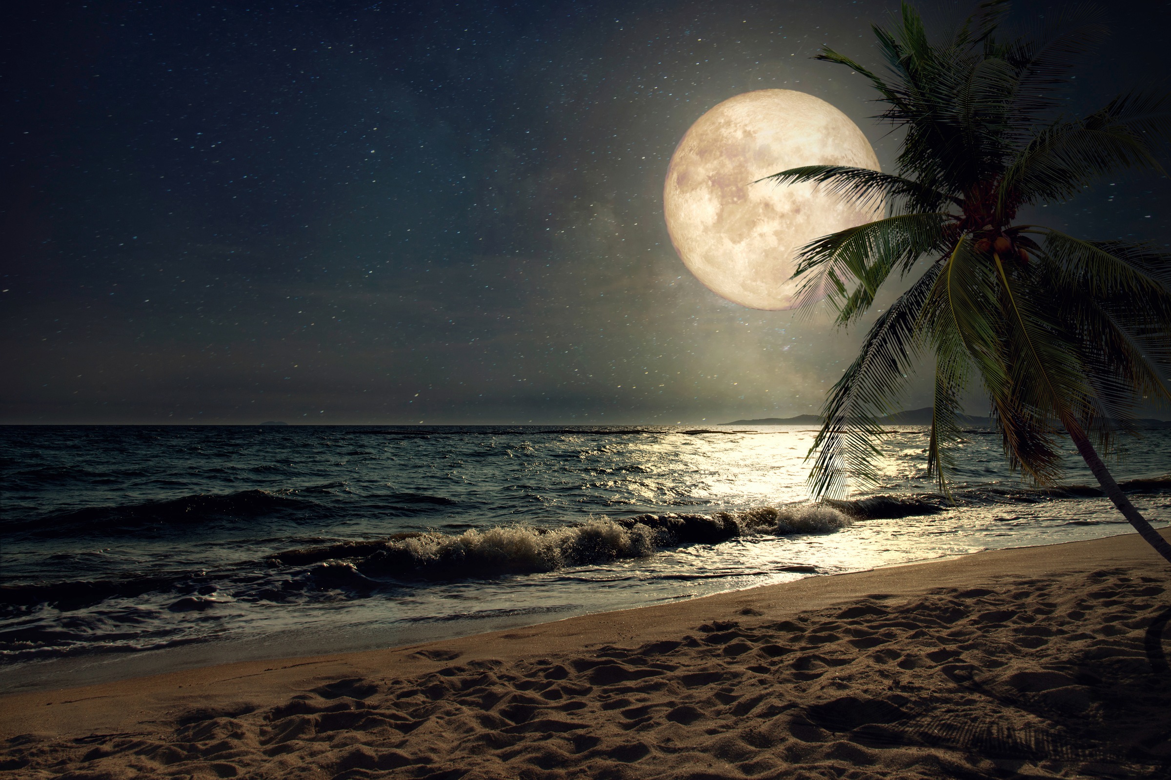 Papermoon Fototapete »STRAND-NATUR PALMEN MEER DÜNEN MOND PALME LANDSCHAFT«