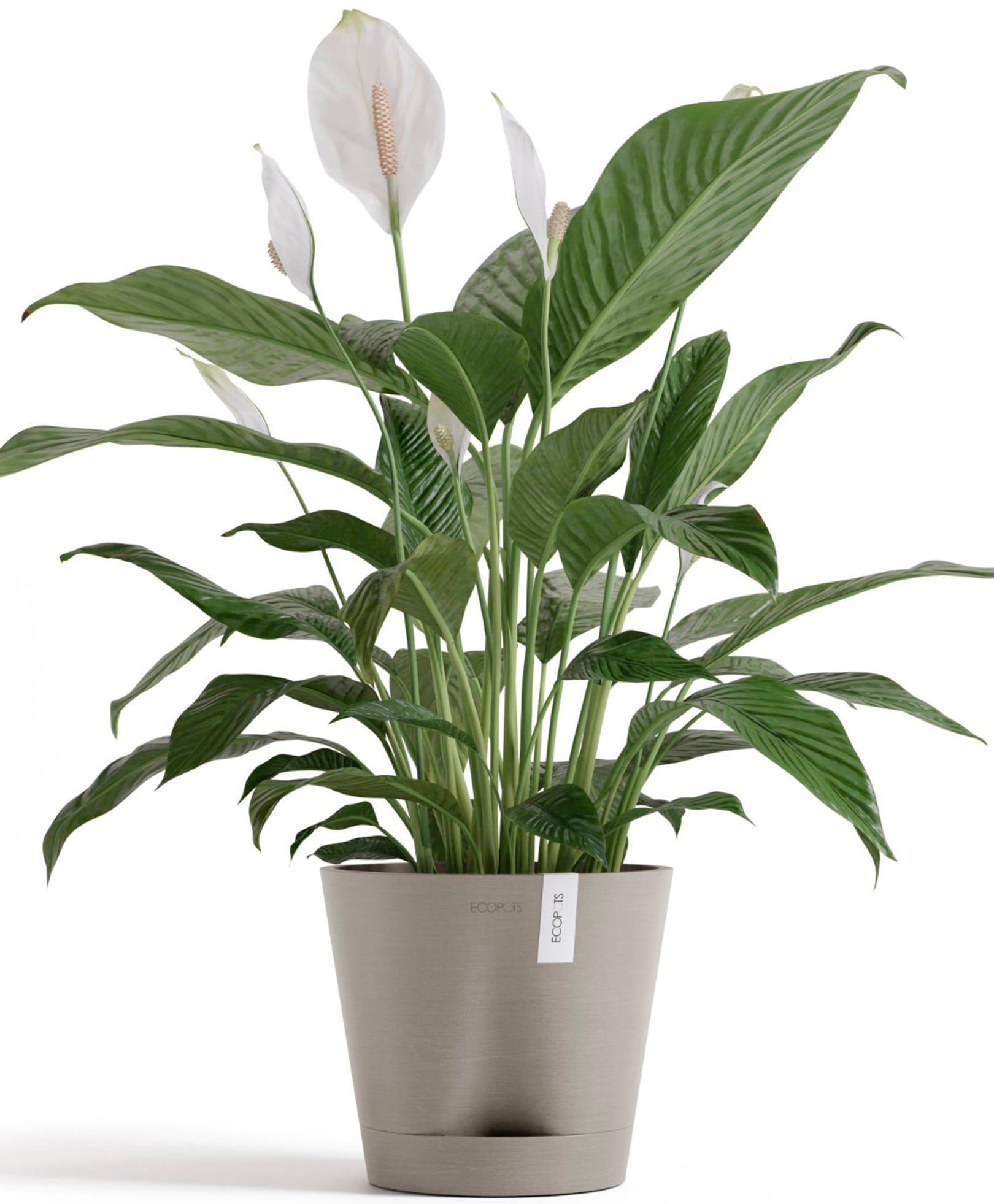 ECOPOTS Blumentopf »Venice 2 20 Taupe«, für den Innenbereich