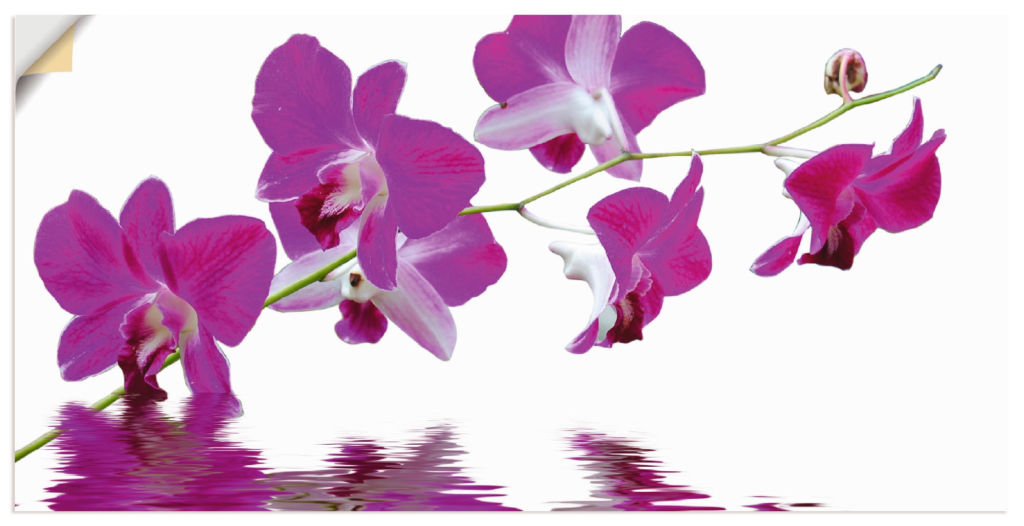 Artland Leinwandbild »Violette Orchideen«, Blumen, (1 St.), auf Keilrahmen gespannt