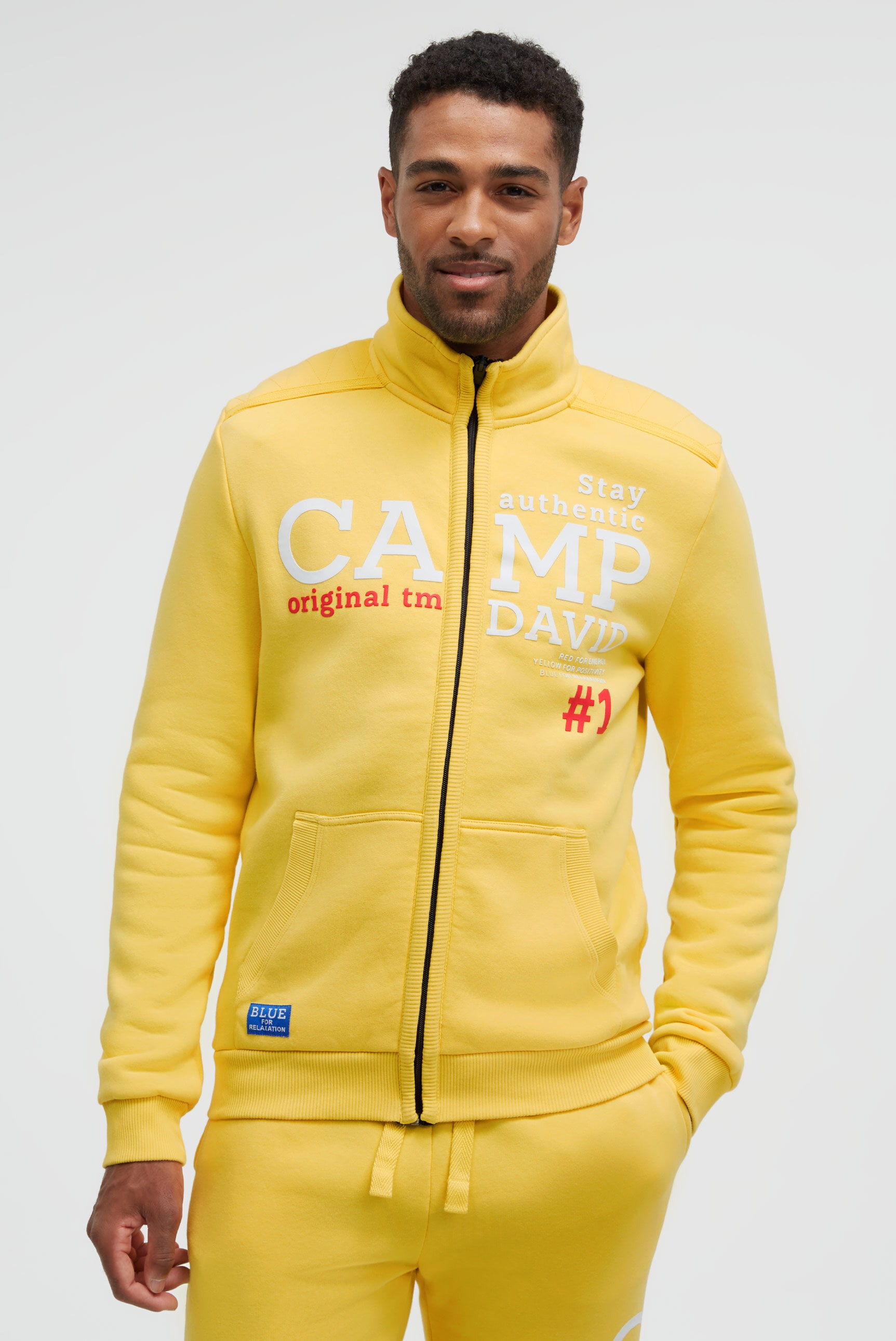 CAMP DAVID Sweatjacke mit Stehkragen günstig online kaufen
