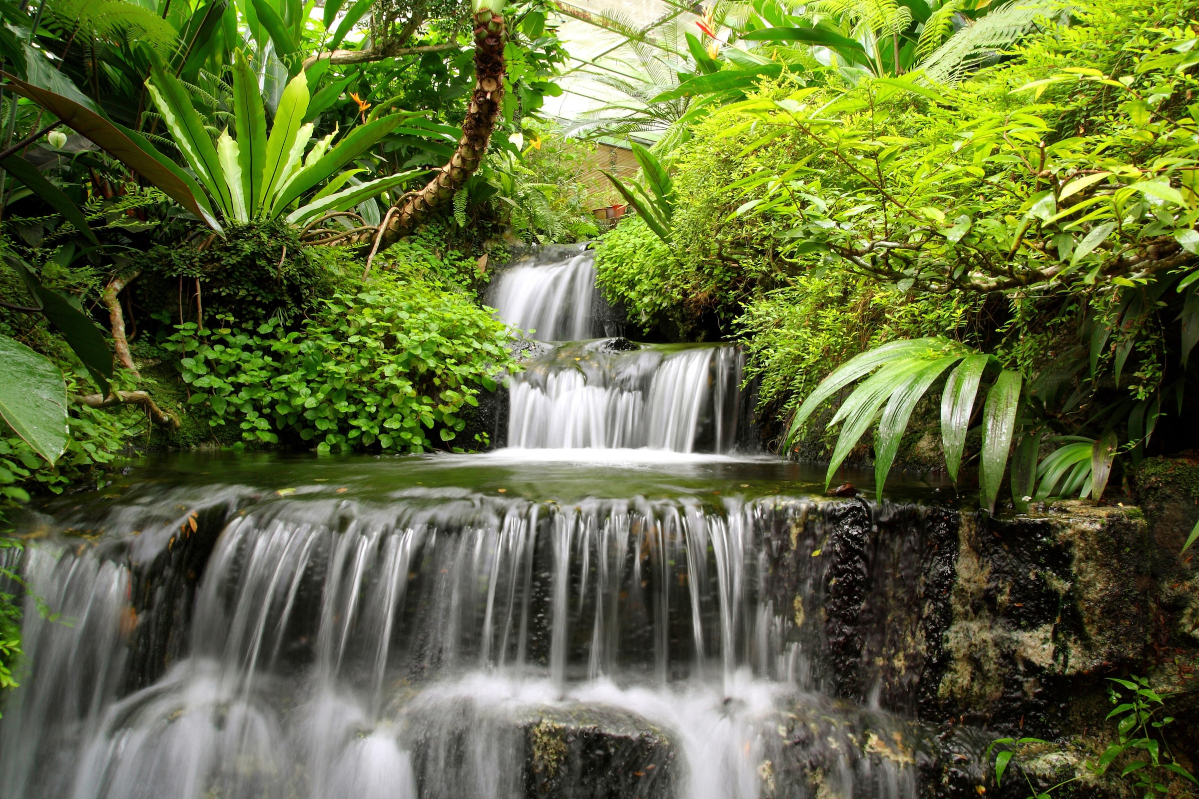 Papermoon Fototapete »WASSERFALL-BÄUME FLUSS SEE STEINE BLUMEN BERGE SONNE«