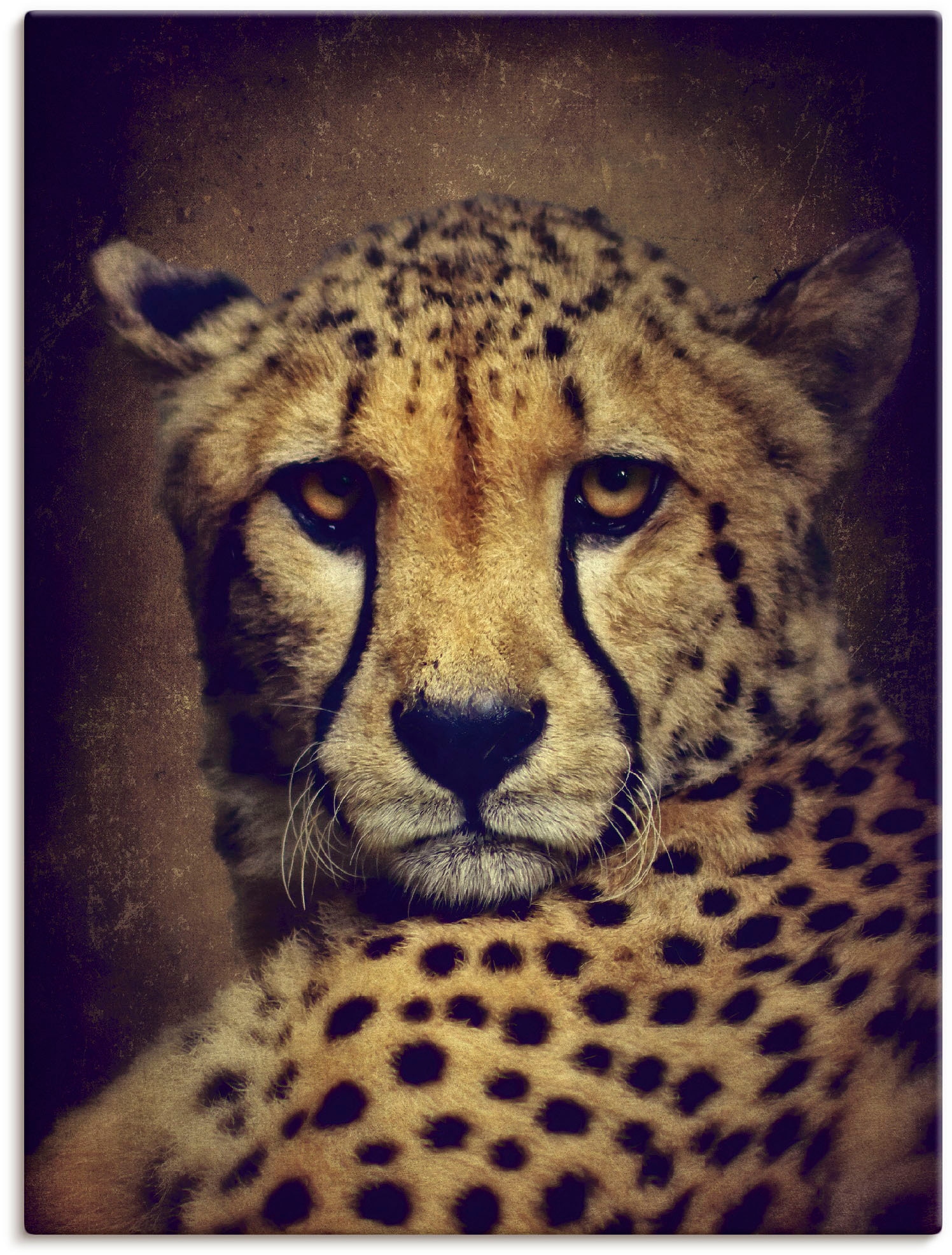 Artland Leinwandbild "Gepard" Wildtiere 1 Stk. tlg. auf Holzrahmen gespannt