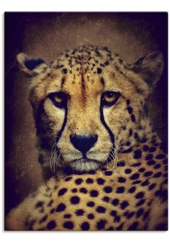 Artland Paveikslas »Gepard« Wildtiere (1 St.) ...