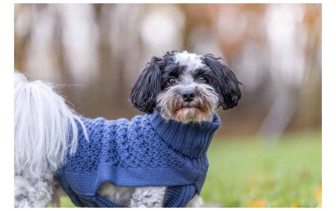 TRIXIE Tierpullover »Norwood M, 45 cm Dunkelblau«