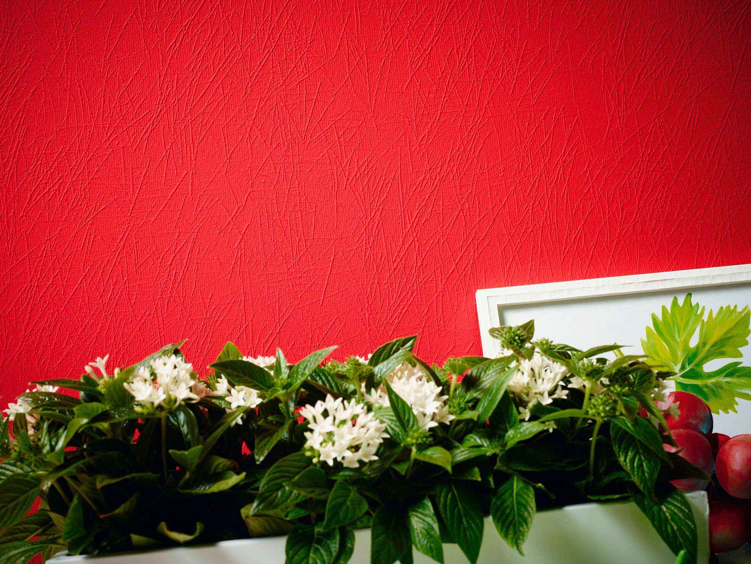 living walls Vliestapete »Meisterputz«, uni-einfarbig-unifarben, Struktur Tapete Grafik Tapeten Wohnzimmer Schlafzimmer Küche Flur Büro