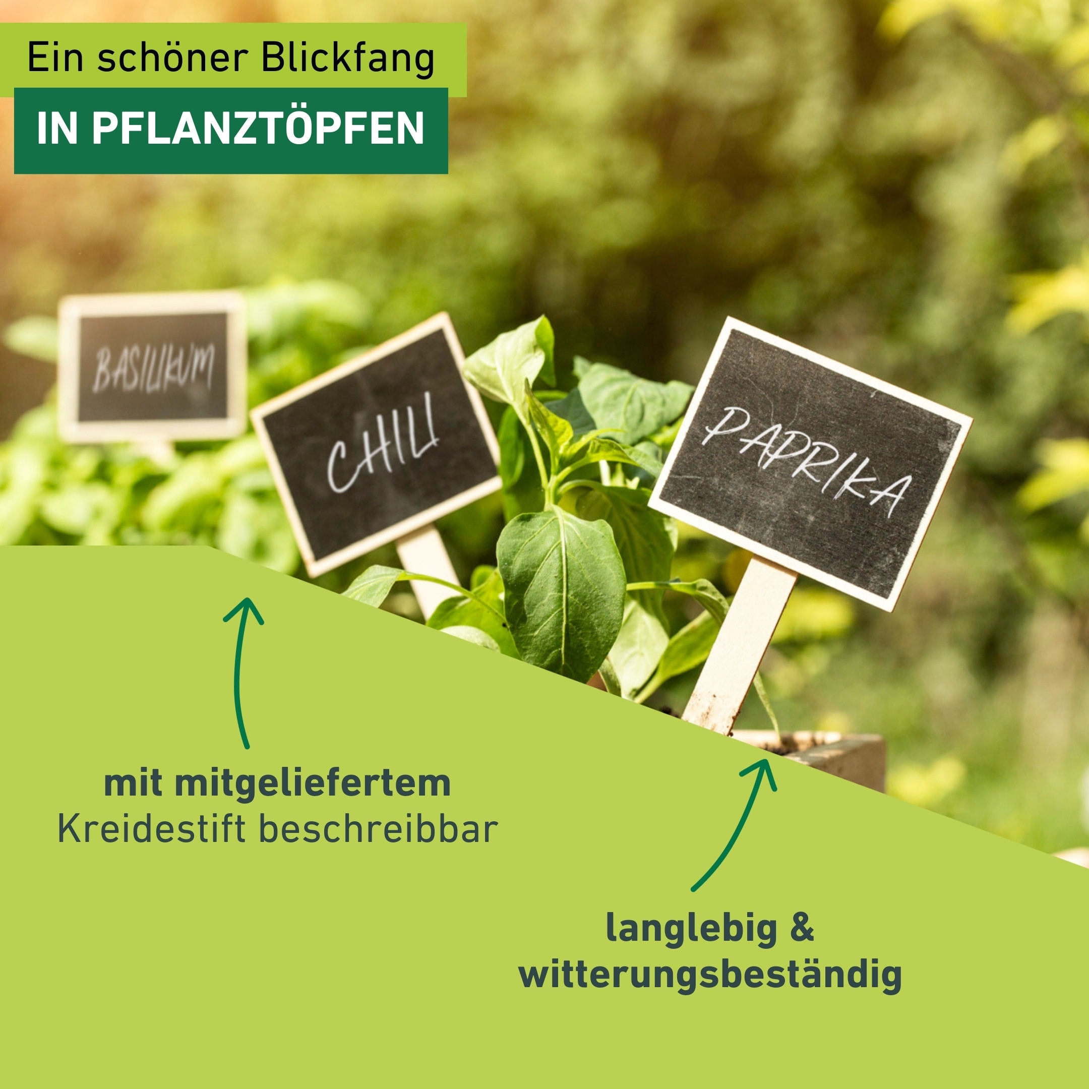 Windhager Gartenstecker »inklusive Kreidetafel, Pflanzenschilder 10 Stk.« Stecketiketten für Gemüse oder Kräutergarten, 7,5 x 17,5 cm, Holz