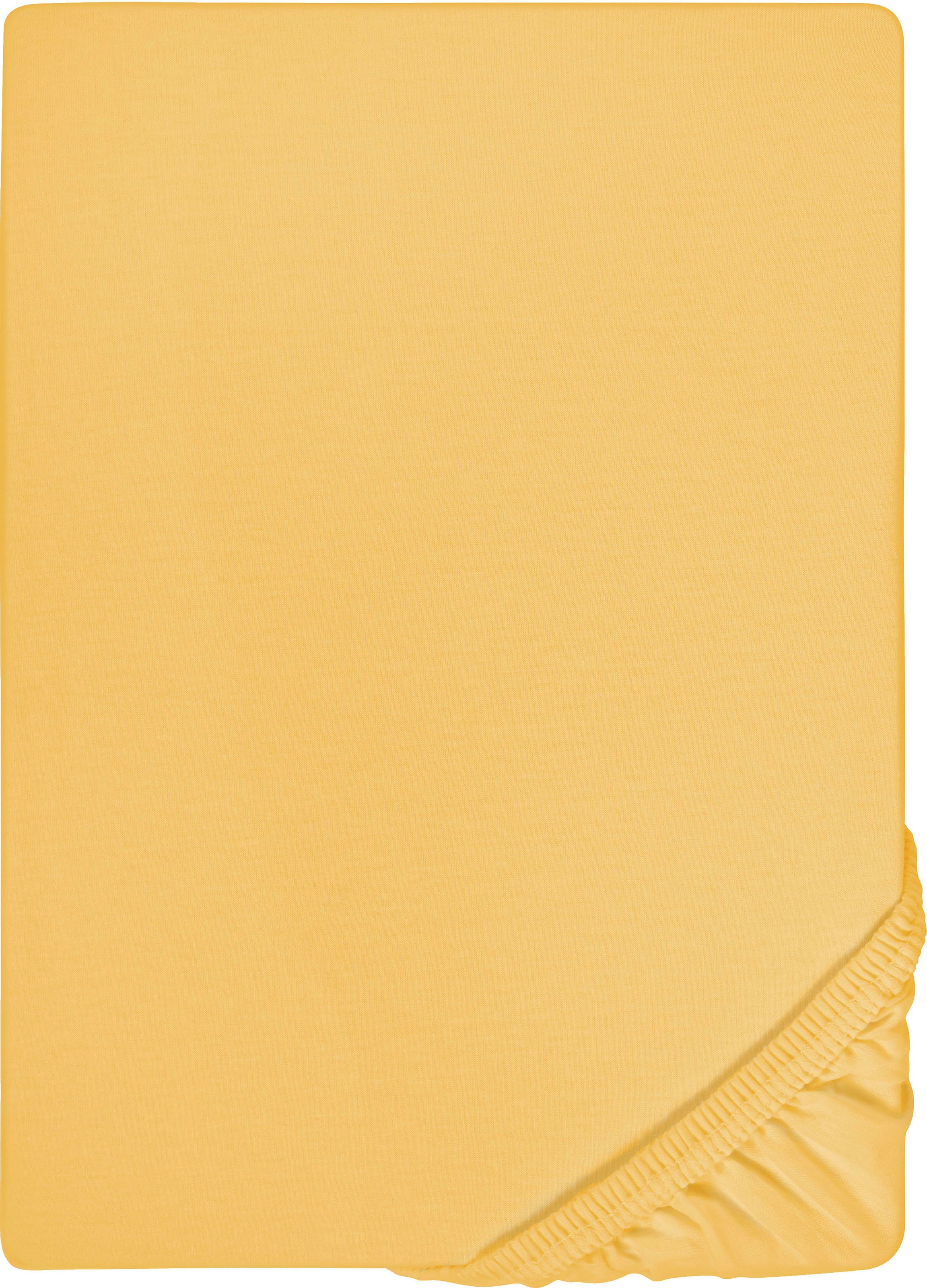 Biberna Spannbettlaken "0077866 Deluxe Jersey-Elastic Spannbetttuch 97% Baumwolle" Jersey mit Elasthan, Rundumgummi, bügelfrei, ab Größe 90 x 190 cm i