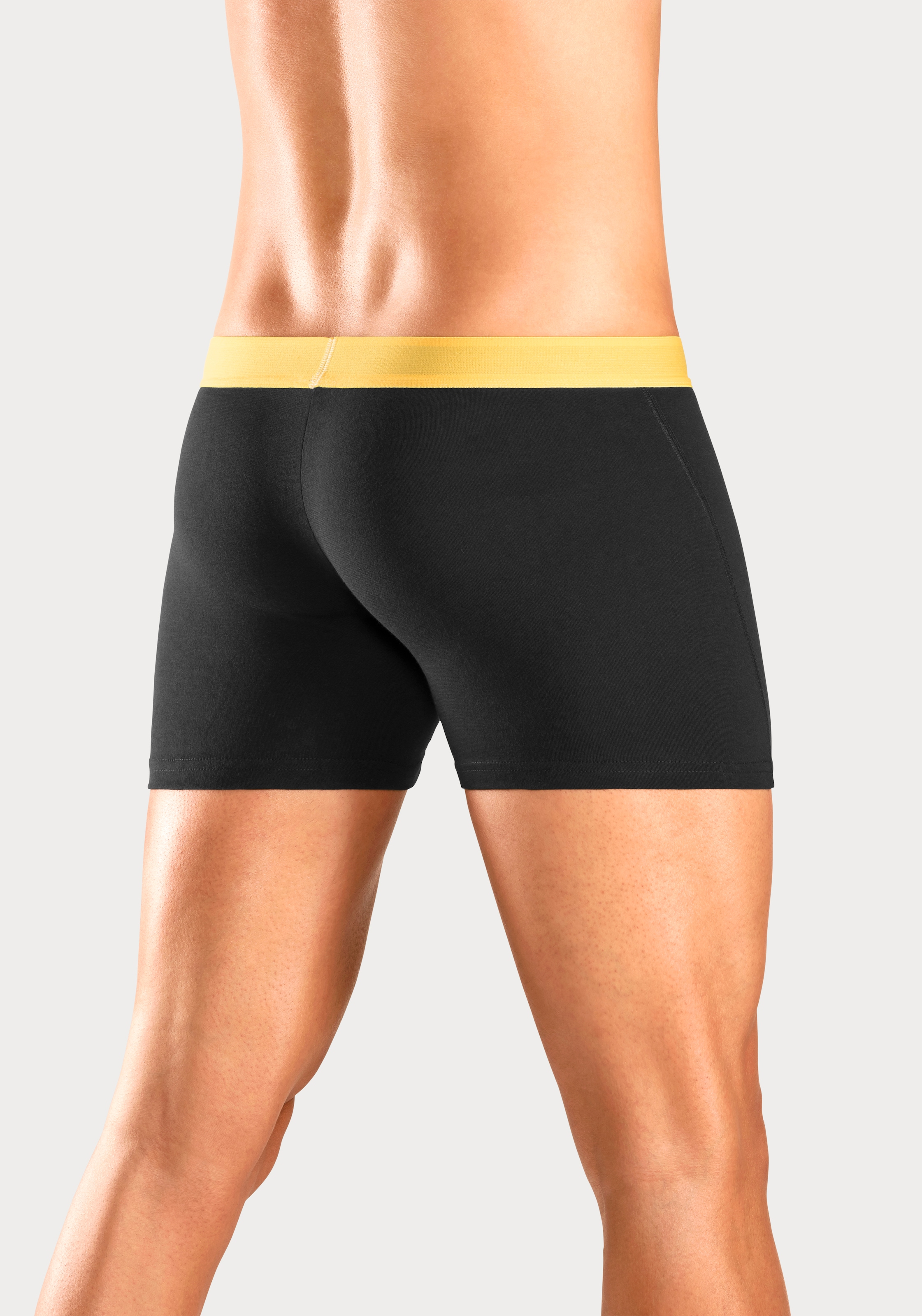 Bruno Banani Boxer »Boxershorts für Herren«, (Packung, 4 St.), mit längerem Bein und auffälligen Logobund