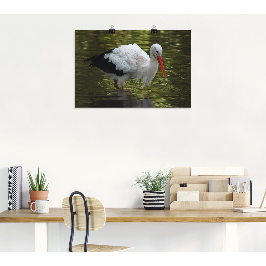 Artland Wandbild »Storch auf der Jagd«, Vögel, (1 St.), in vielen Größen & Produktarten -Leinwandbild, Poster, Wandaufkleber / Wandtattoo auch für Badezimmer geeignet