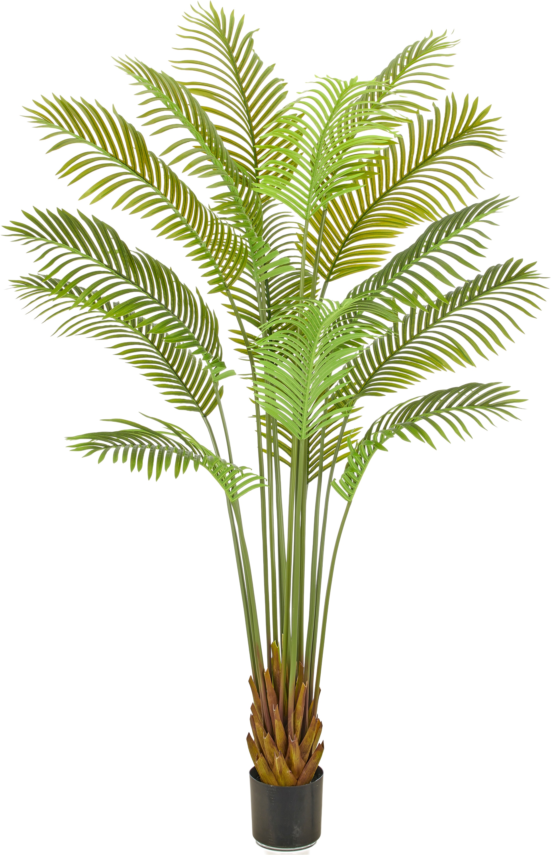 Creativ green Kunstpalme "Arecapalme" mit naturgetreuen Palmwedeln