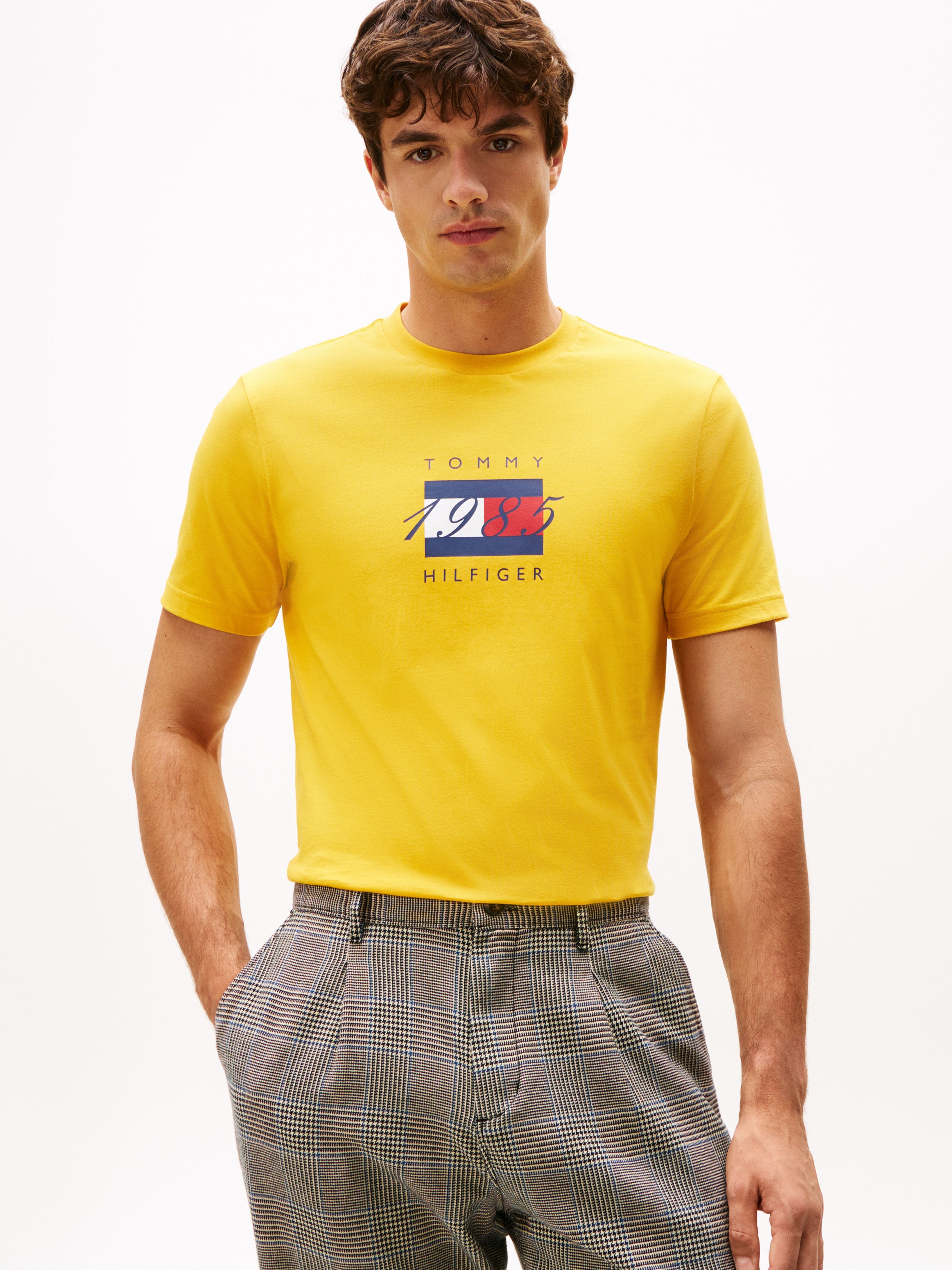 Tommy Hilfiger T-Shirt "LINEAR FLAG GRAPHIC", Rundhals, regular fit, Jersey günstig online kaufen