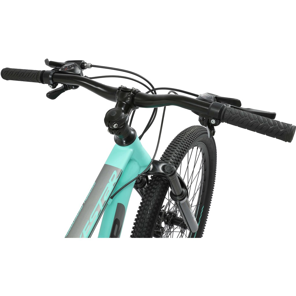 Bikestar Mountainbike, 21 Gang, Shimano, RD-TY300 Schaltwerk, Kettenschaltung