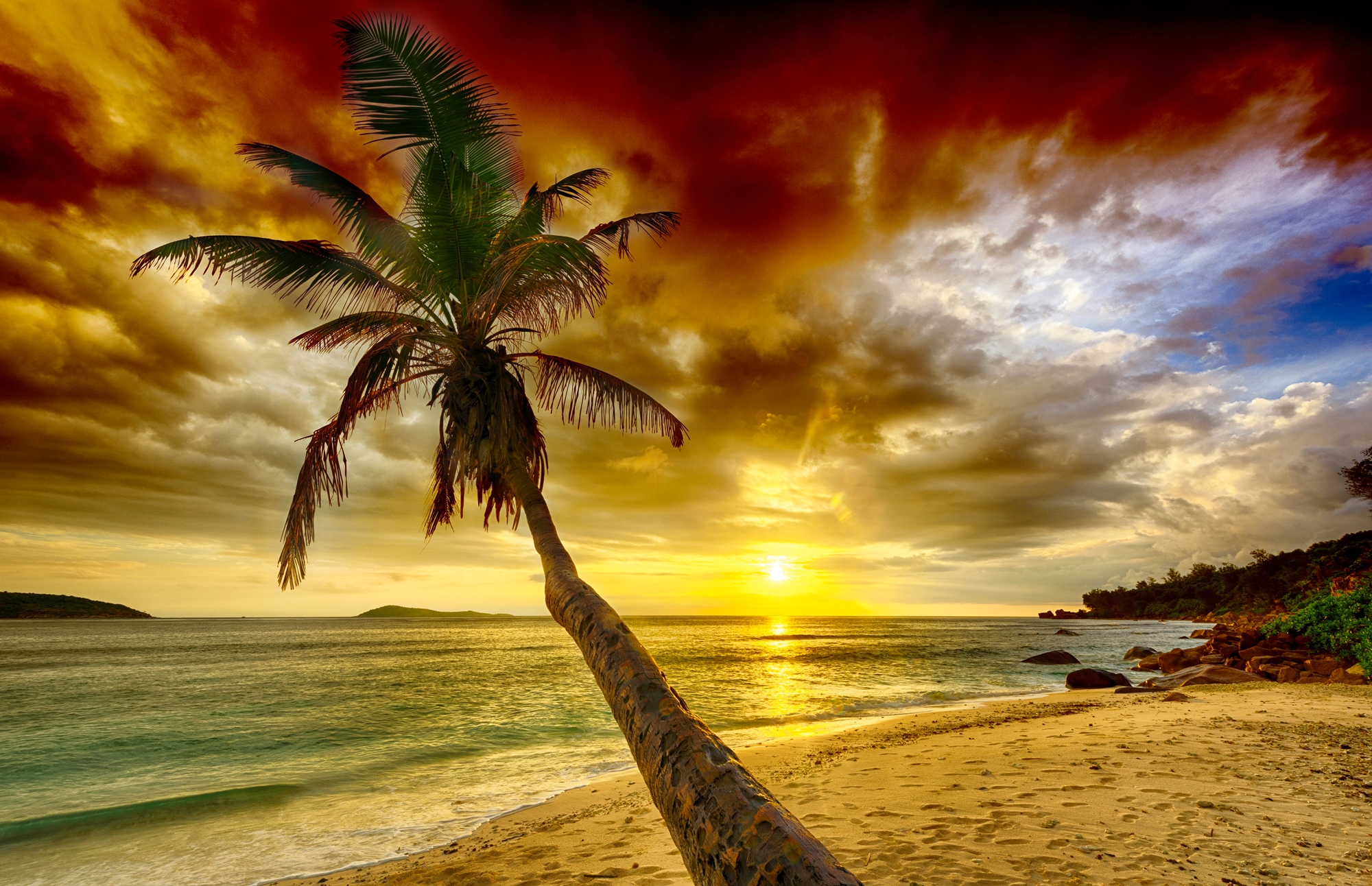 Papermoon Fototapete "PALMEN-STRAND-KARIBIK SÜDSEE MEER DÜNEN SONNE OZEAN X günstig online kaufen