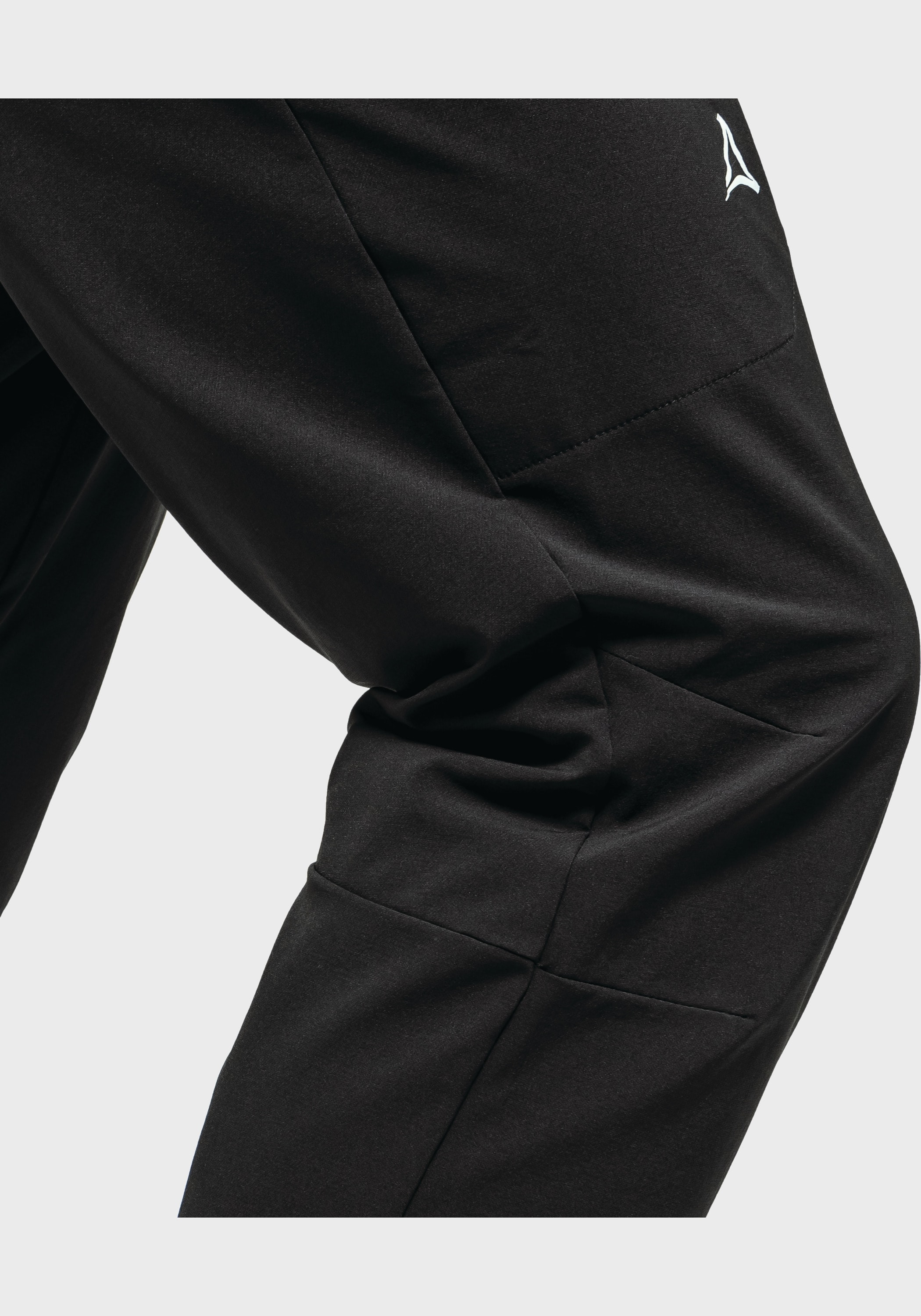 Schöffel Outdoorhose »Mountain Pants Style Blaueis MNS«