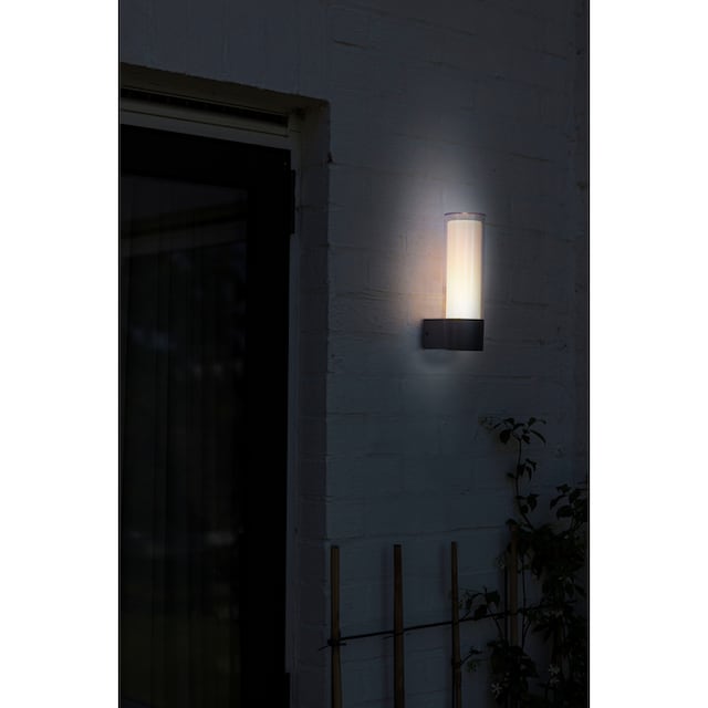 LUTEC Smarte LED-Leuchte »DROPA«, Smart-Home | BAUR