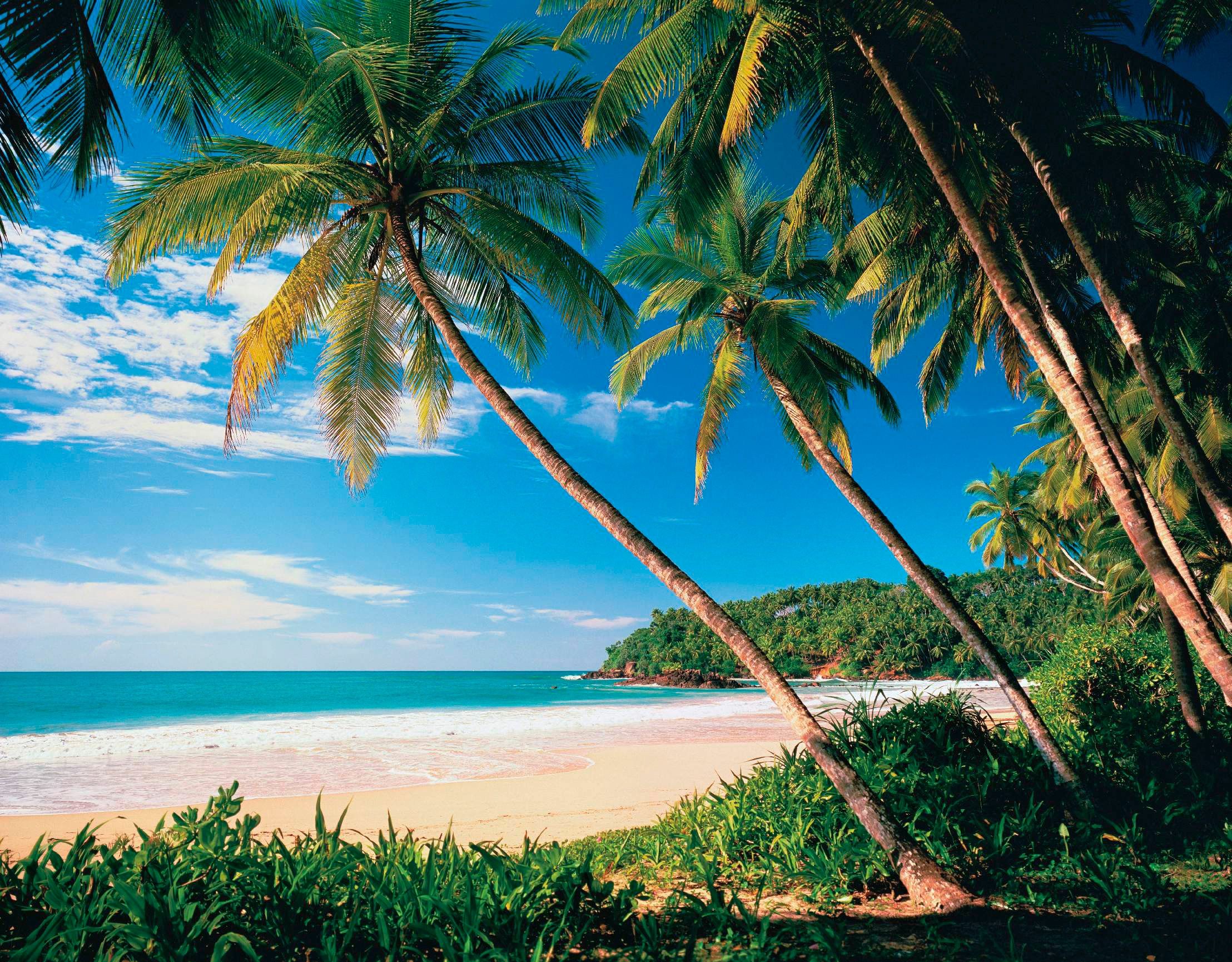 Papermoon "Palmbeach" glatt