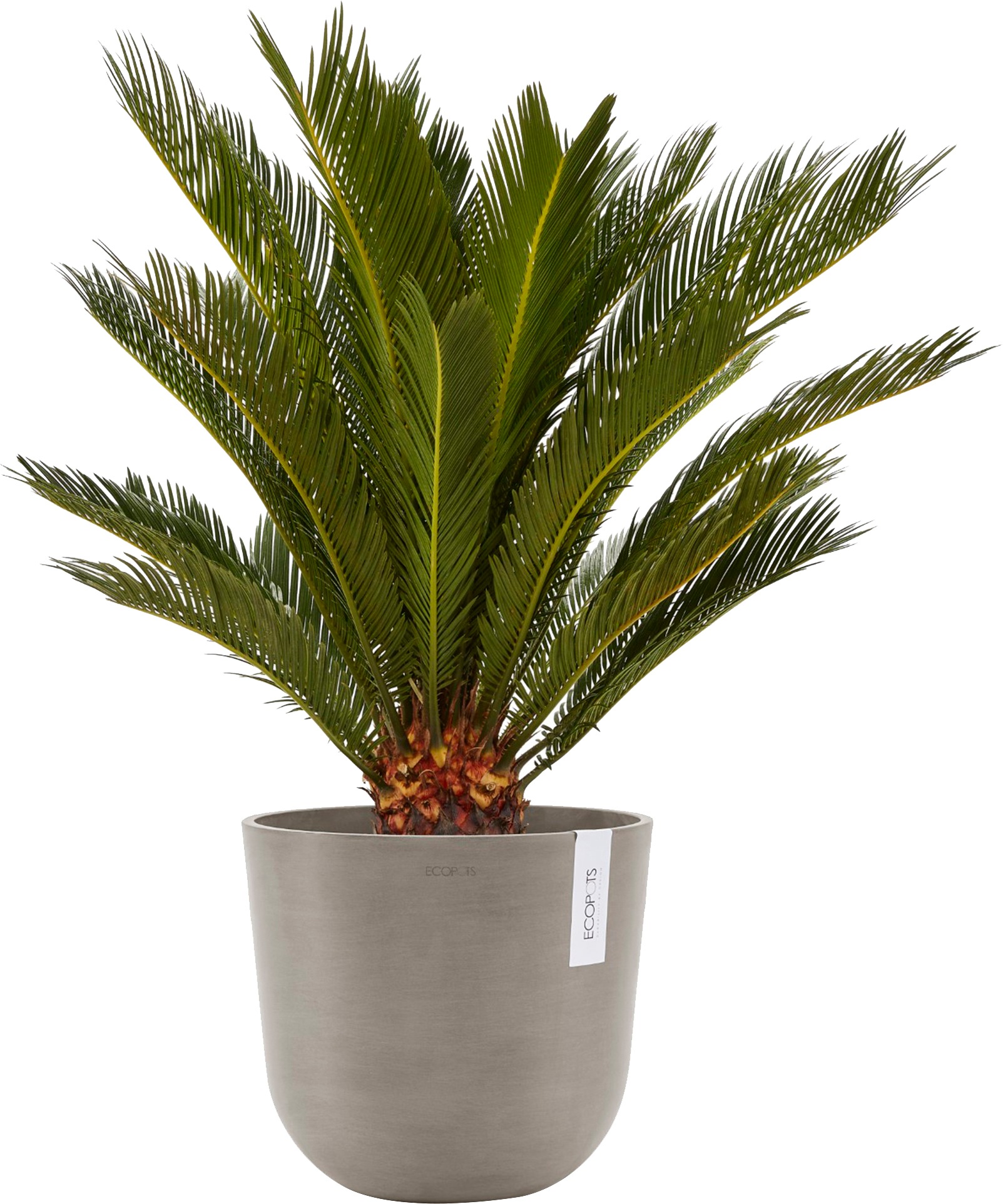 ECOPOTS Blumentopf »Oslo 25 Taupe«, für innen und außen: frostsicher, bruchsicher und lichtbeständig