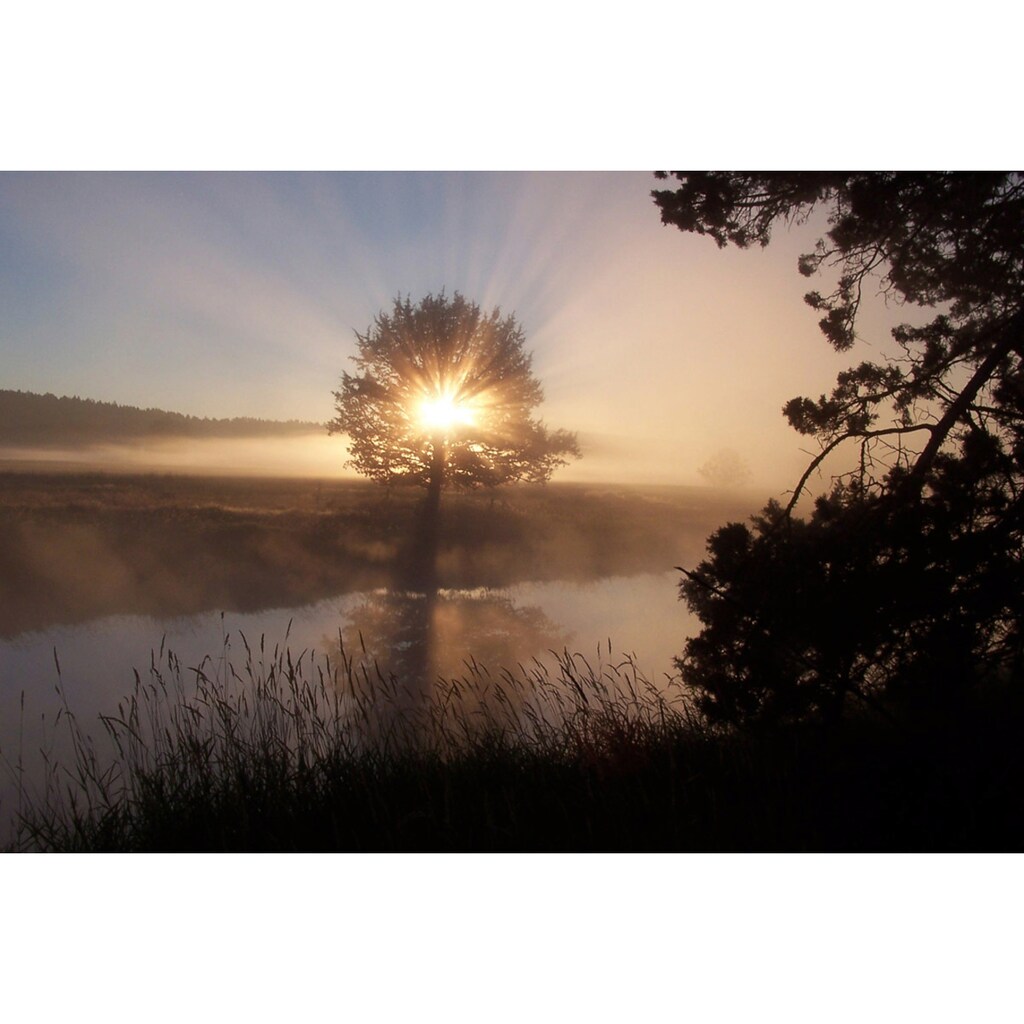 Papermoon Fototapete »Fluss Sonnenaufgang«