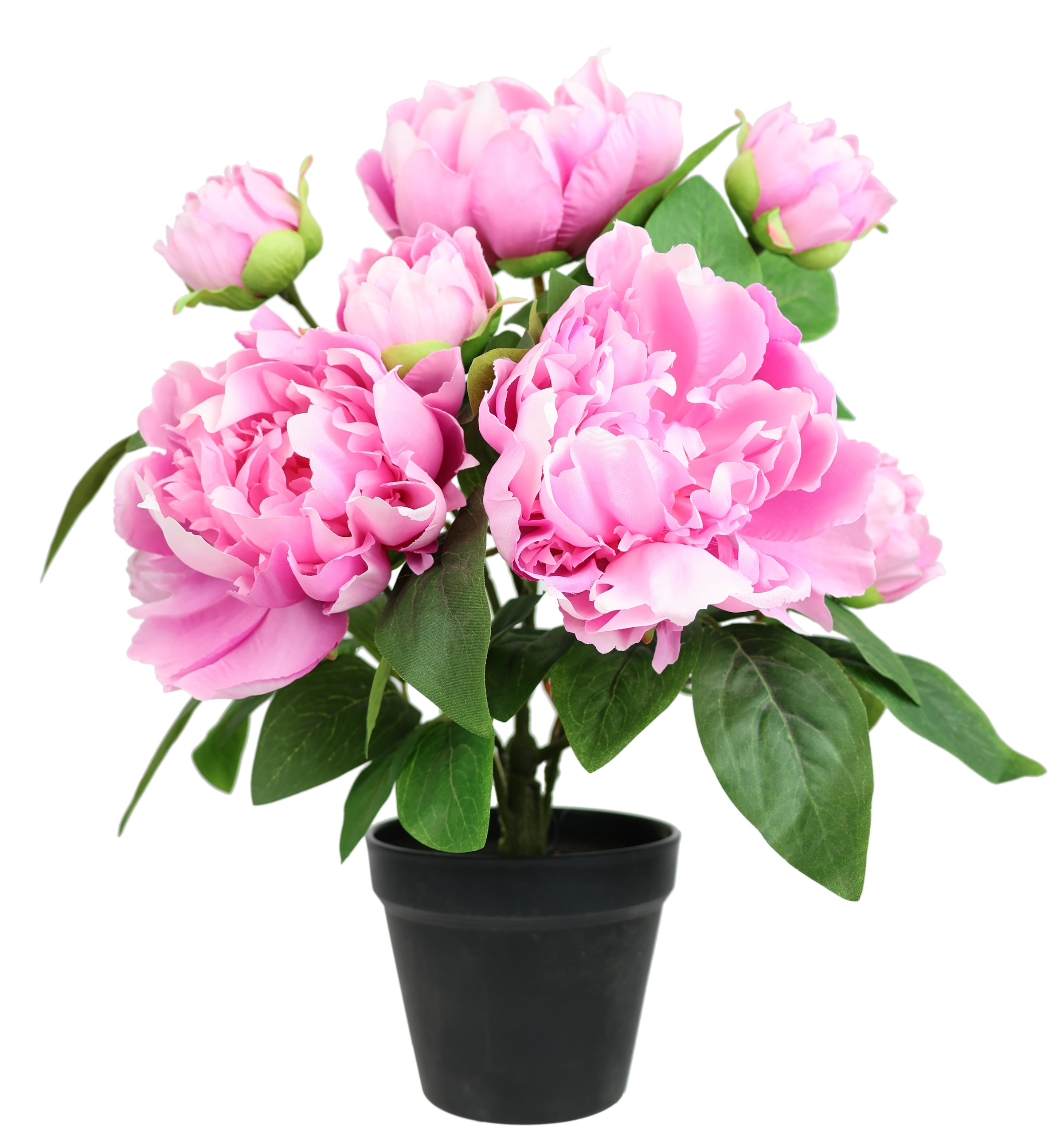 I.GE.A. Kunstpflanze "Künstlicher Päonienbusch im Topf" 40cm Pfingstrose Päonie Dekoblumen Kunstblume Deko Hochzeit