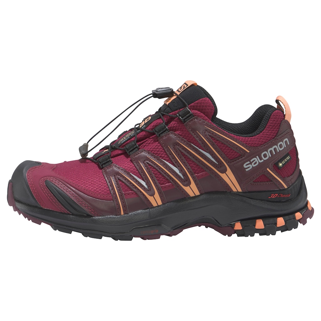 Salomon Laufschuh »XA PRO 3D Gore-Tex W«, wasserdicht