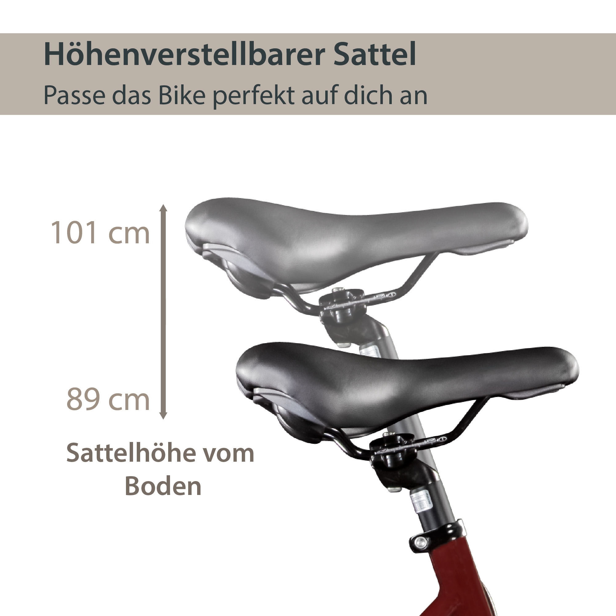 AGON E-Bike »Avesa«, 21 Gang, Heckmotor 250 W, Pedelec, Elektrofahrrad für Damen u. Herren