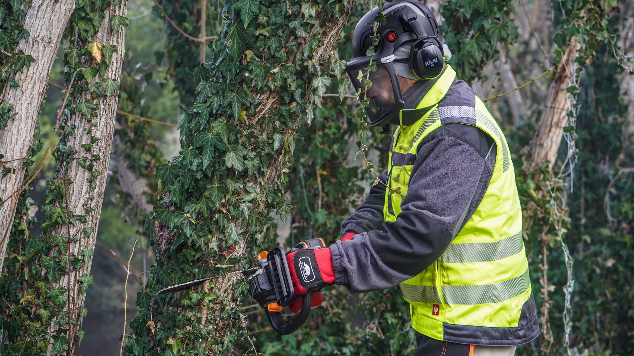 Worx Akku-Kettensäge »WG350E.9 Nitro Profi«, leistungsstarke Holzsäge, 10m/s, ohne Akku und Ladegerät